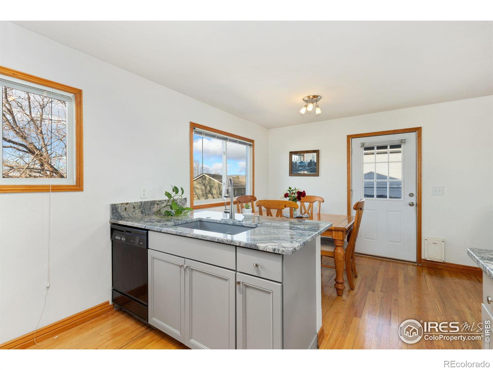MLS Image #8 for 721  sage place,berthoud, Colorado