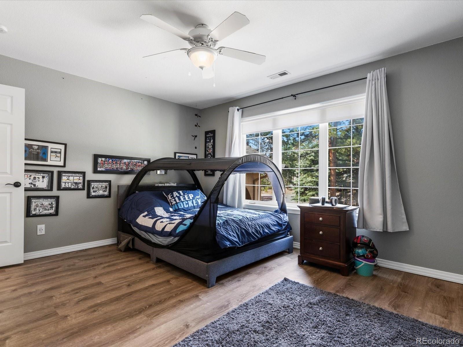 MLS Image #30 for 16145  cliffrock court,colorado springs, Colorado