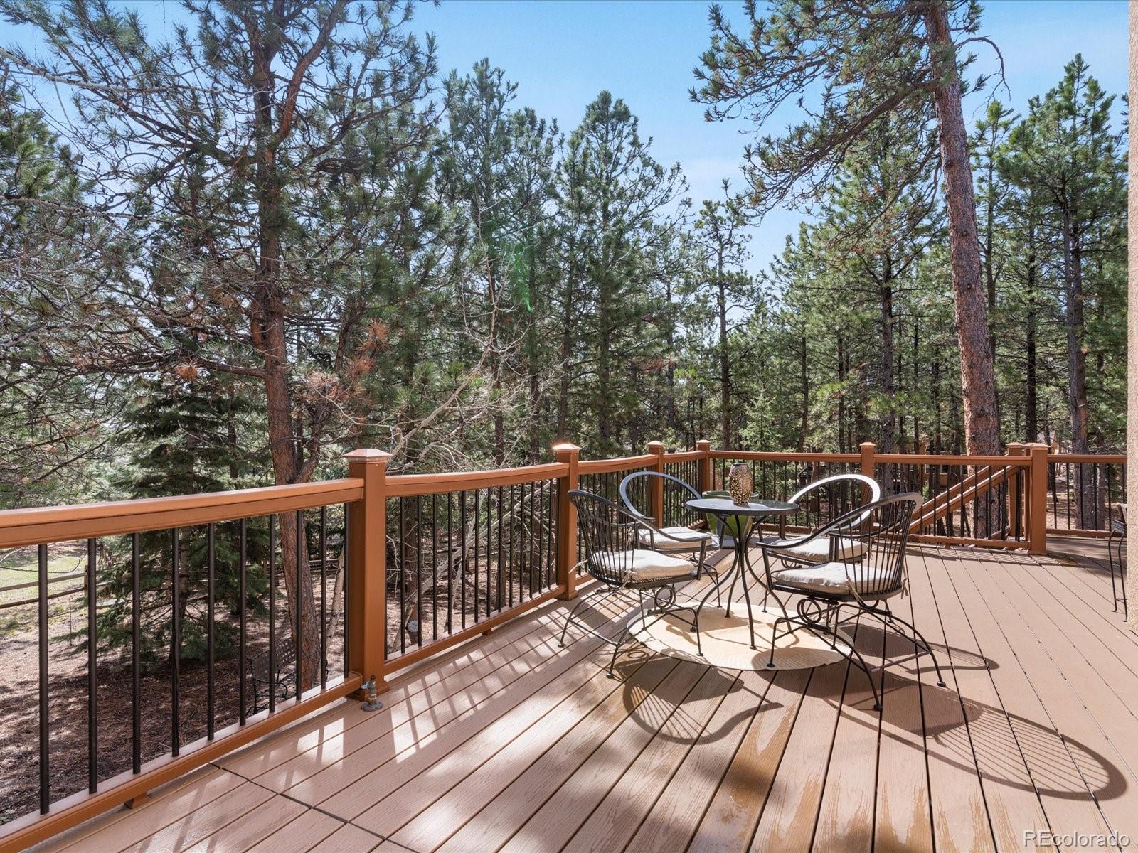 MLS Image #42 for 16145  cliffrock court,colorado springs, Colorado