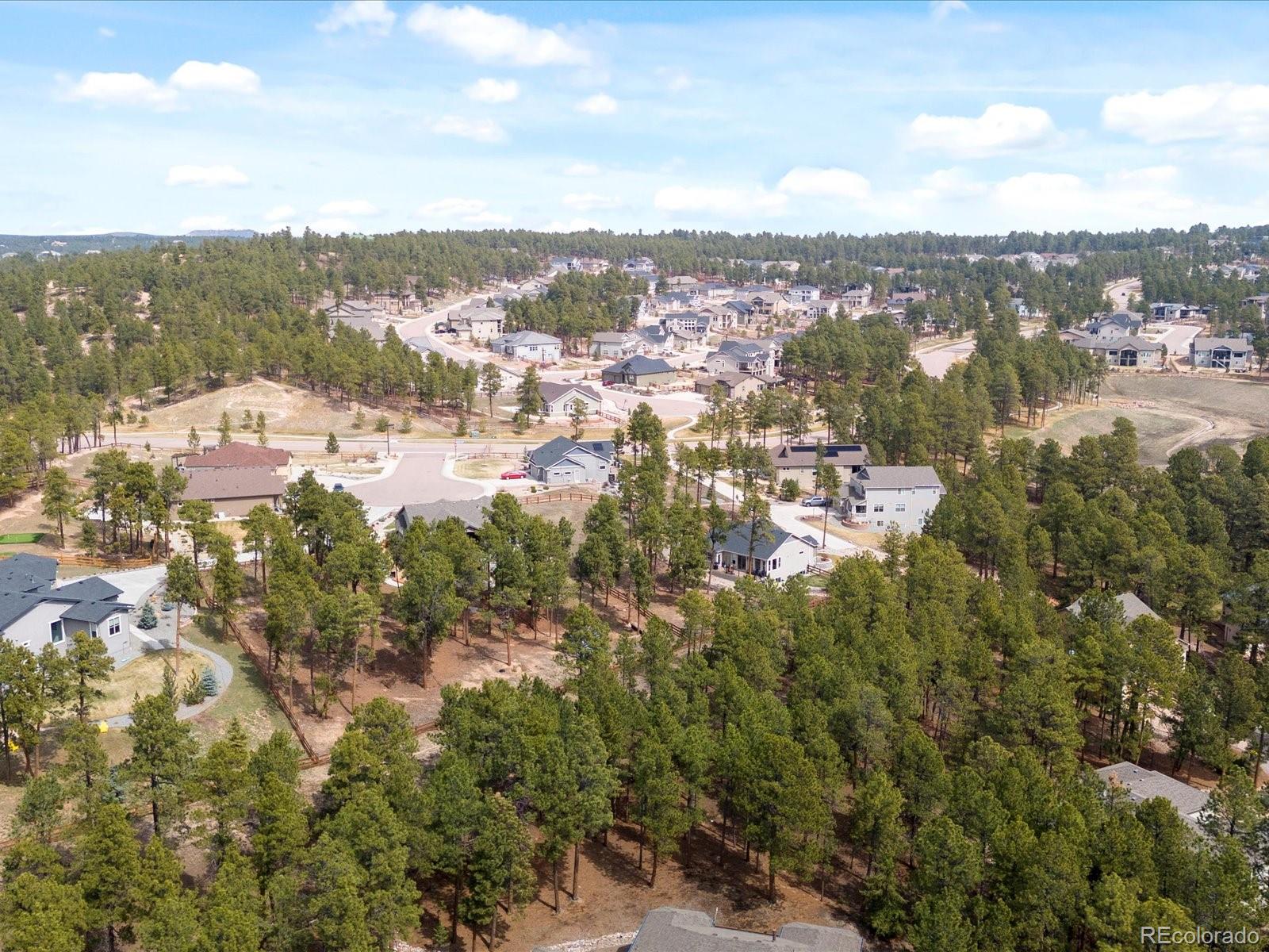 MLS Image #47 for 16145  cliffrock court,colorado springs, Colorado