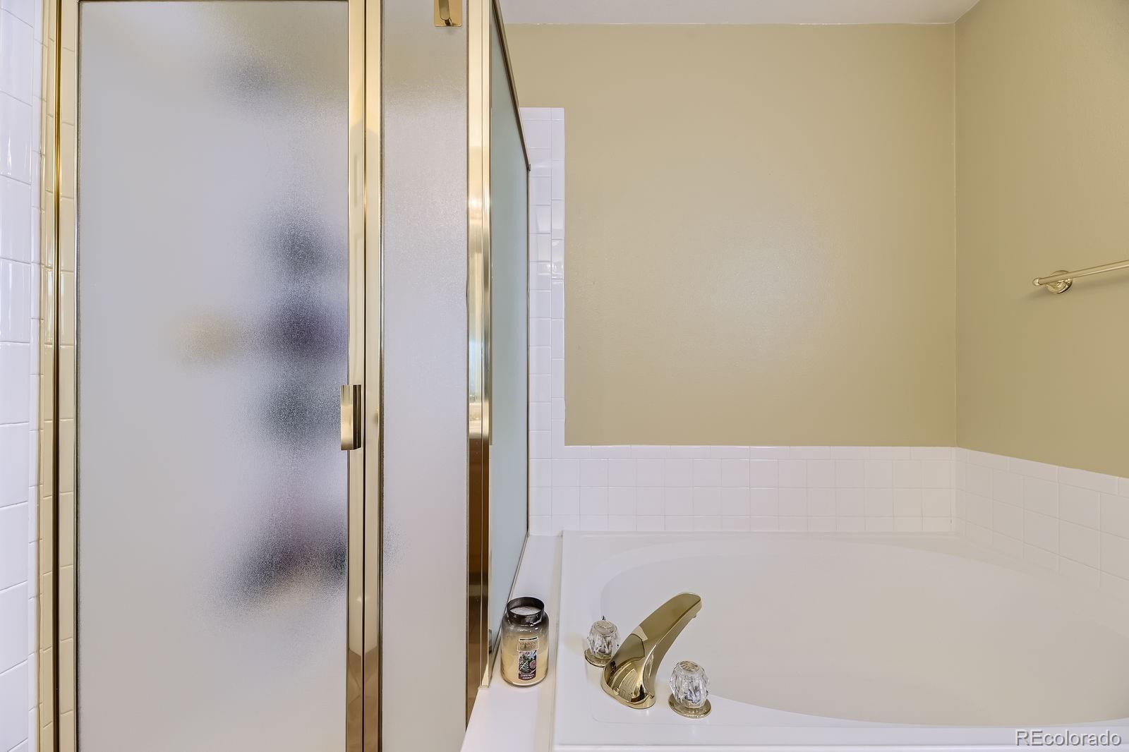 MLS Image #18 for 10065  cairns court,highlands ranch, Colorado