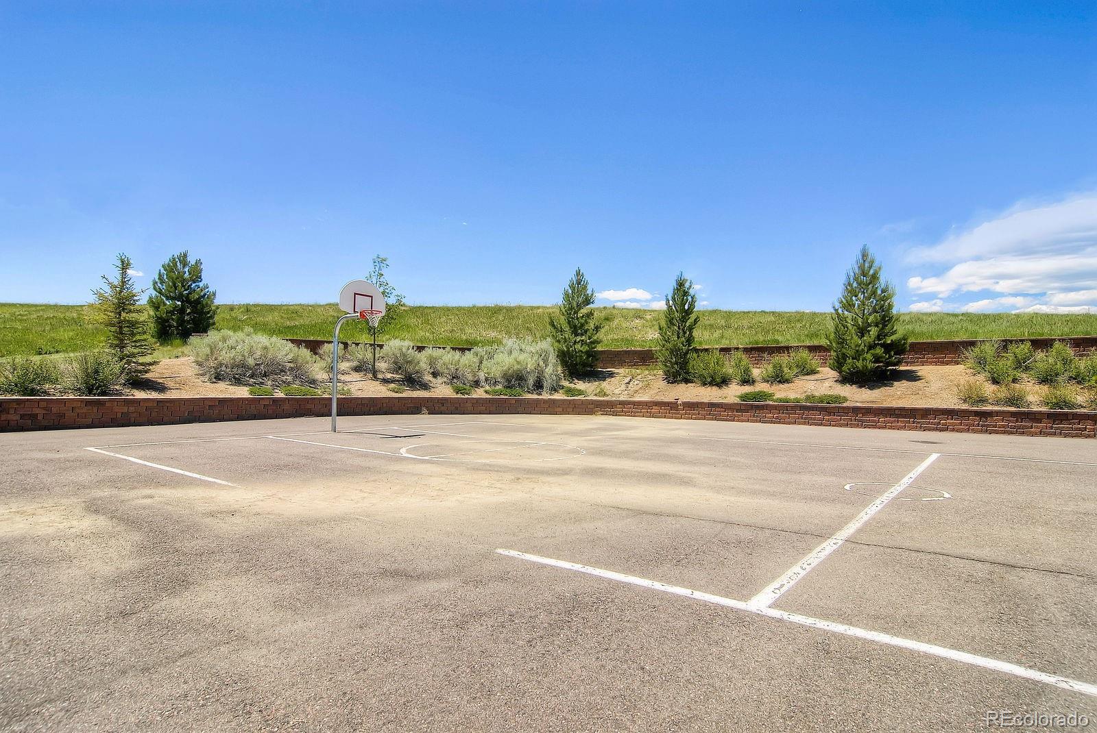 MLS Image #33 for 10065  cairns court,highlands ranch, Colorado