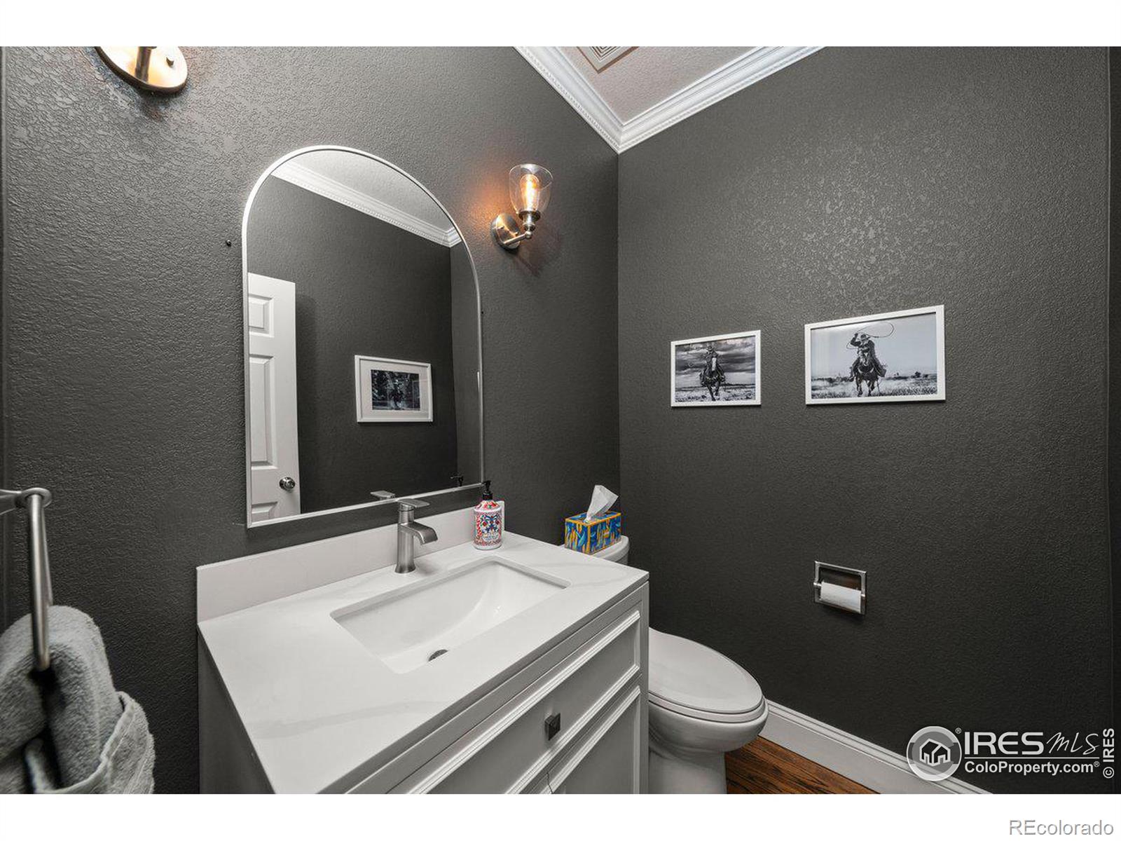 MLS Image #13 for 833  roma valley drive,fort collins, Colorado