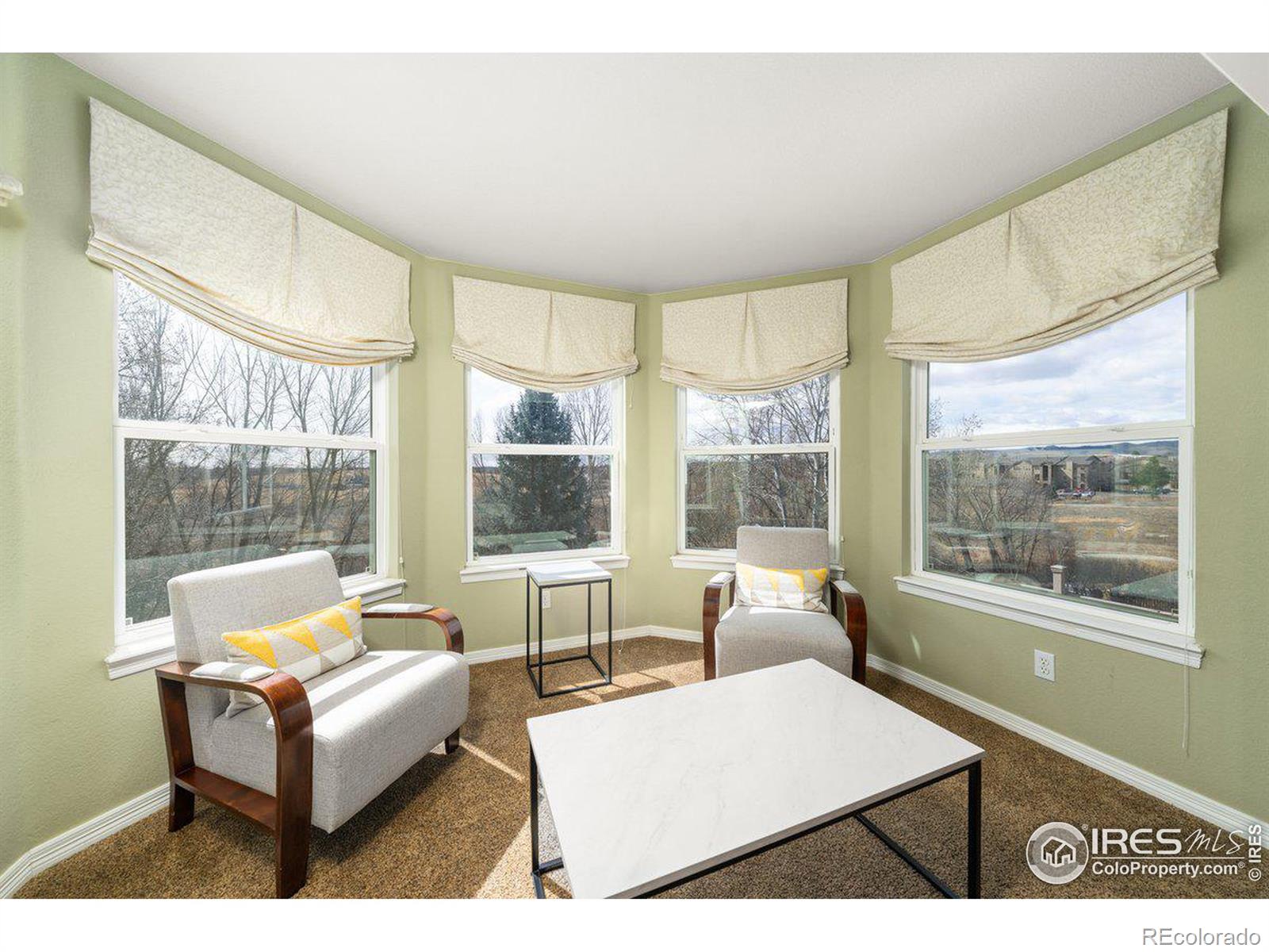 MLS Image #16 for 833  roma valley drive,fort collins, Colorado