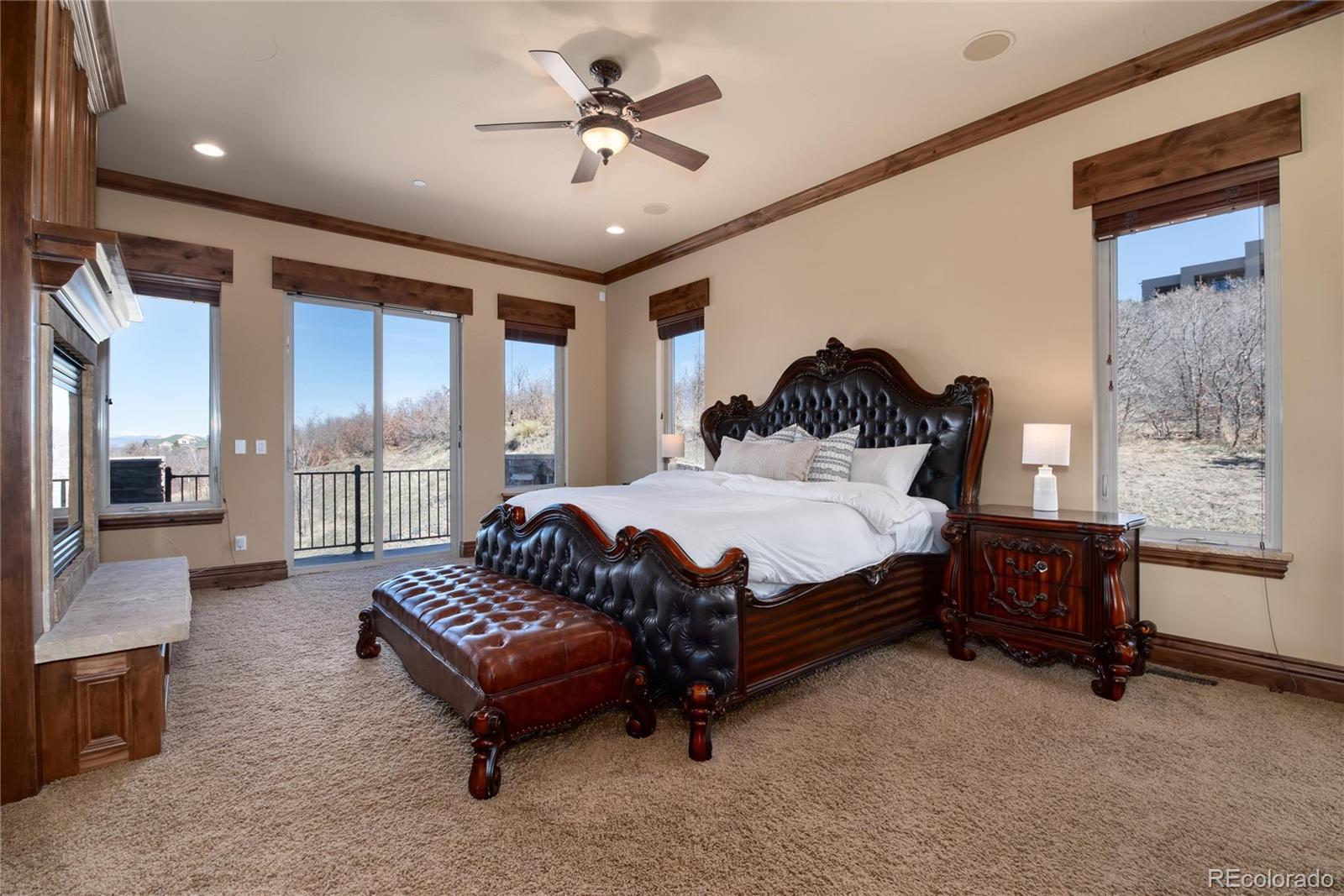 MLS Image #19 for 2208  stevens court,castle rock, Colorado