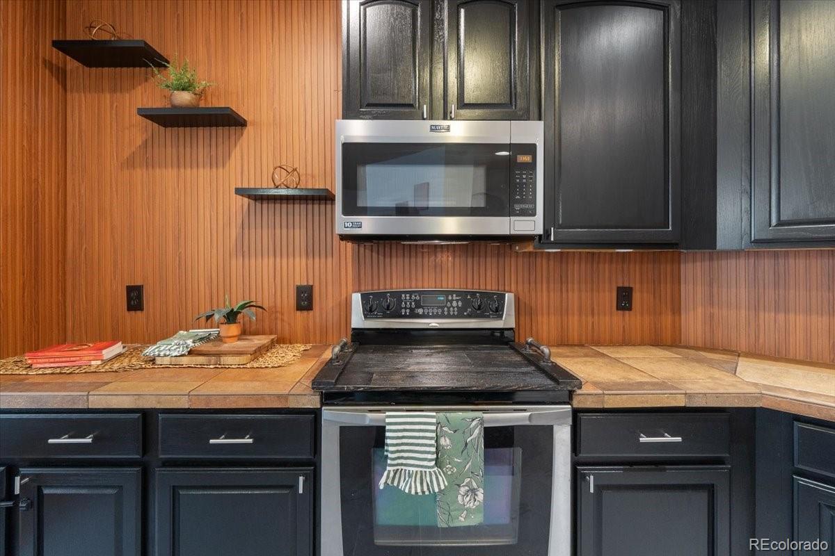 MLS Image #11 for 2333  paint pony circle,castle rock, Colorado