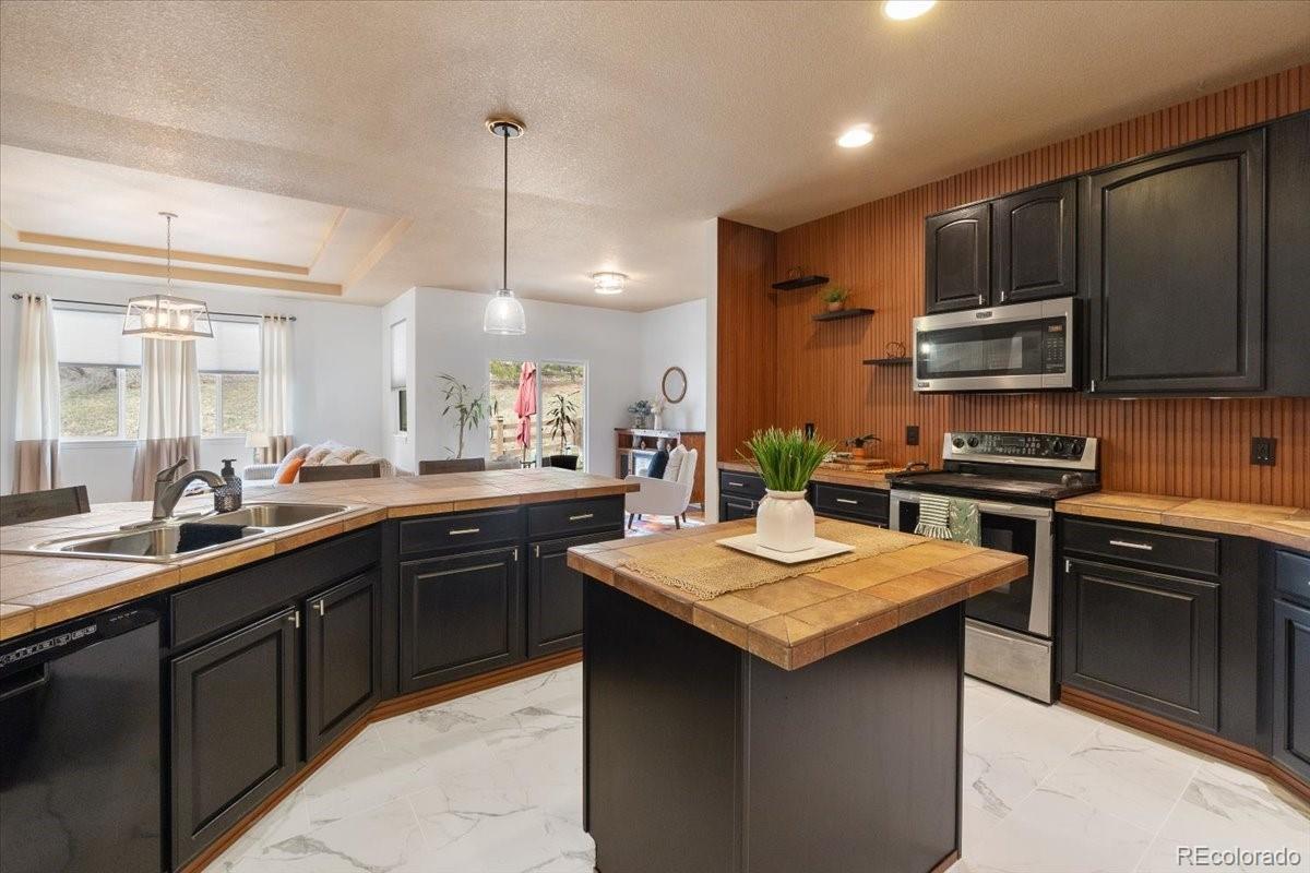 MLS Image #12 for 2333  paint pony circle,castle rock, Colorado