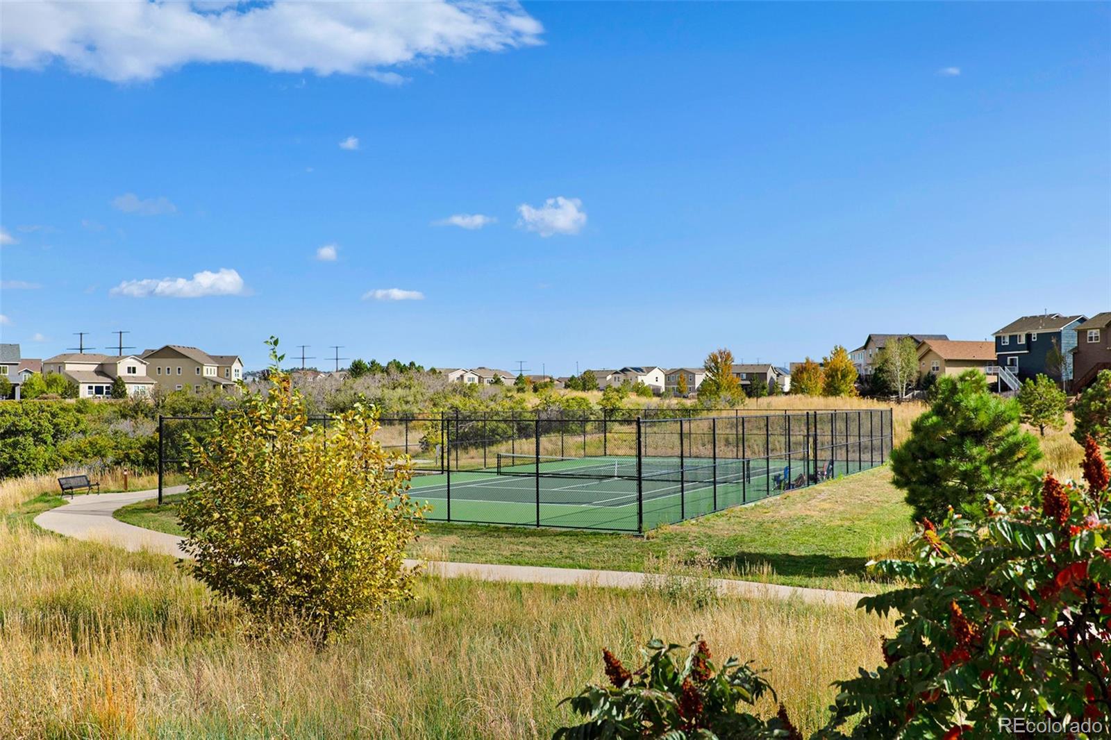 MLS Image #43 for 2333  paint pony circle,castle rock, Colorado