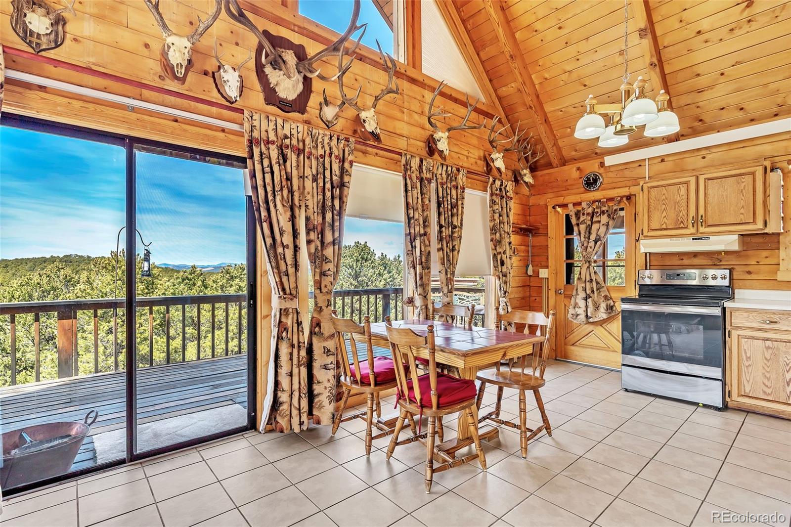 MLS Image #18 for 490  kellogg court,westcliffe, Colorado