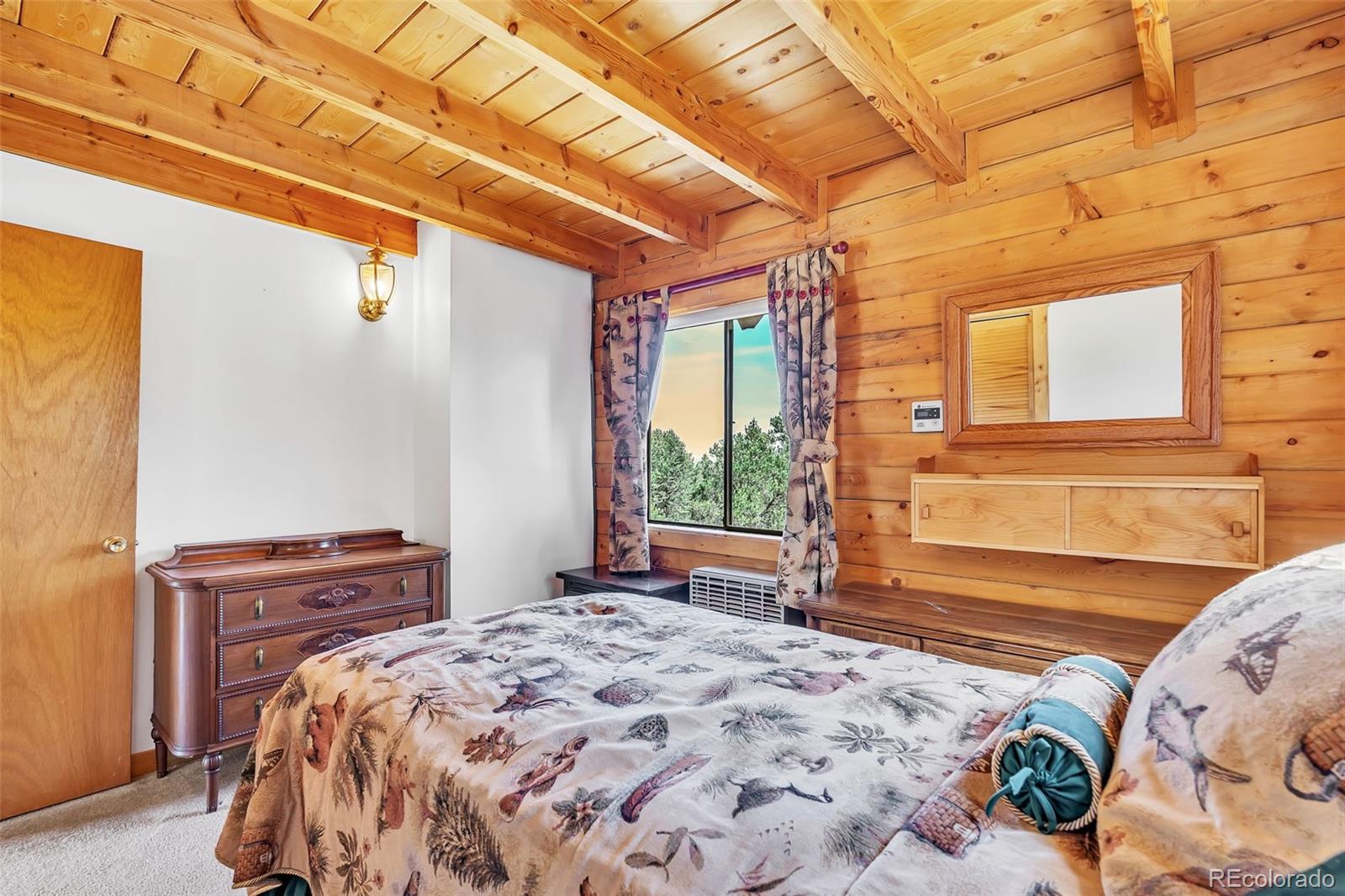 MLS Image #21 for 490  kellogg court,westcliffe, Colorado