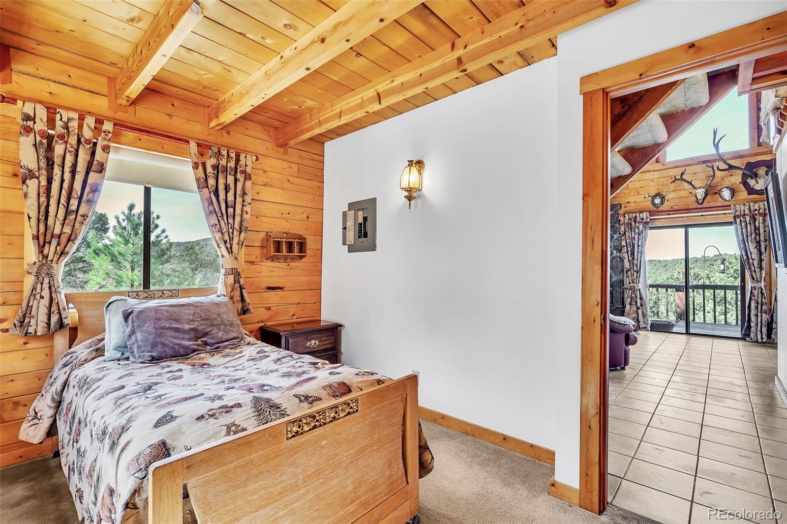 MLS Image #22 for 490  kellogg court,westcliffe, Colorado