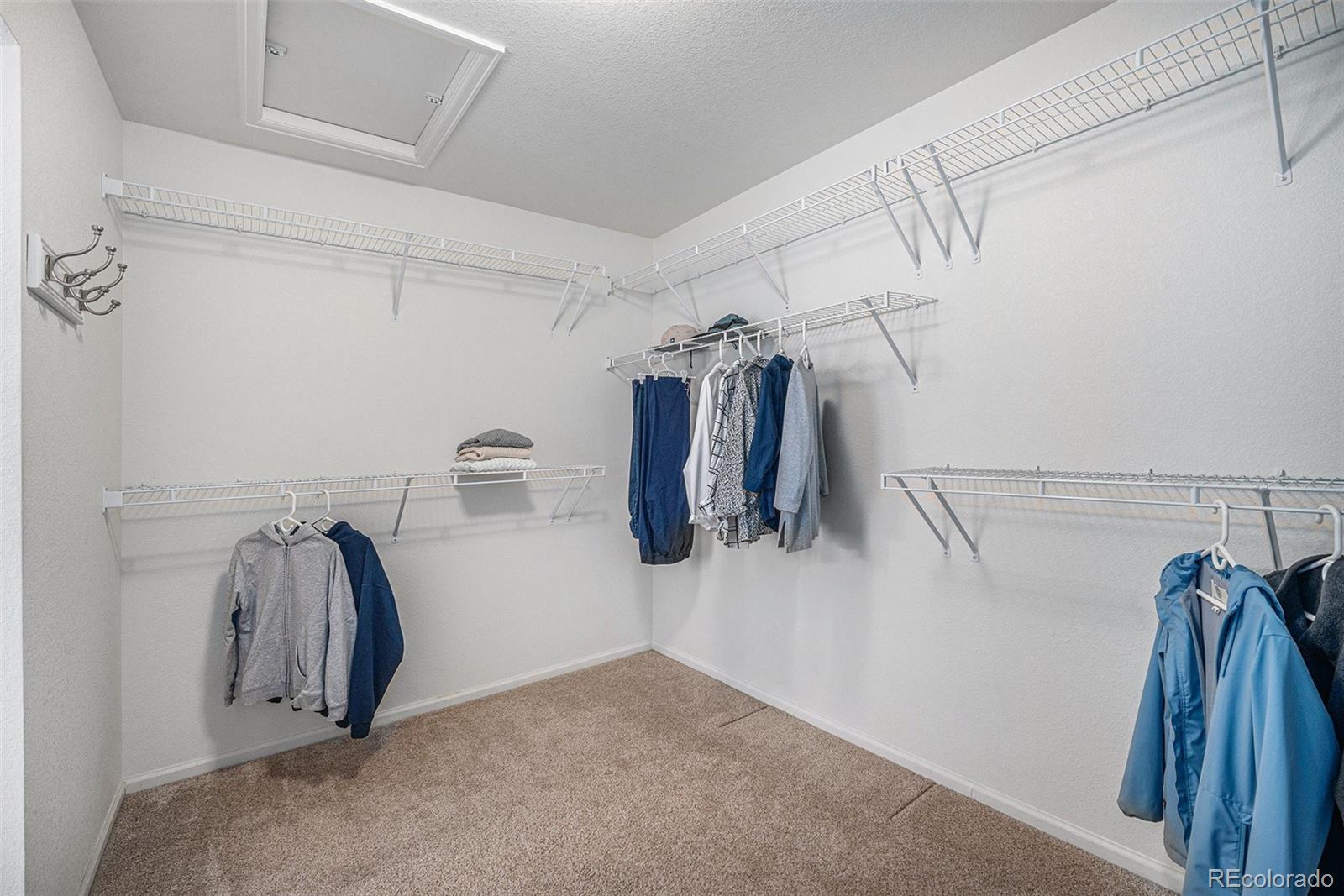 MLS Image #9 for 1811  hogan court,castle rock, Colorado