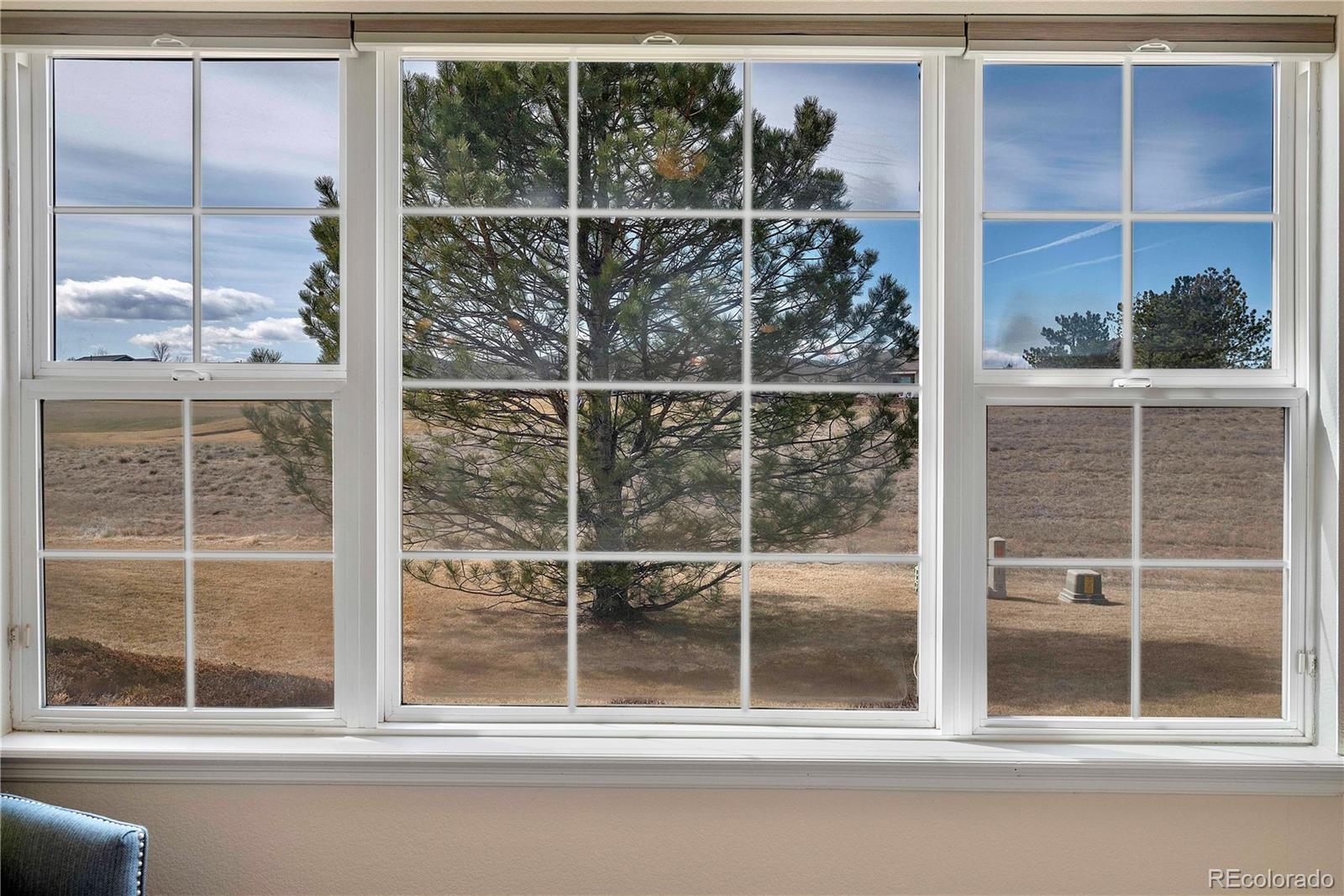 MLS Image #11 for 15123  xenia street,thornton, Colorado