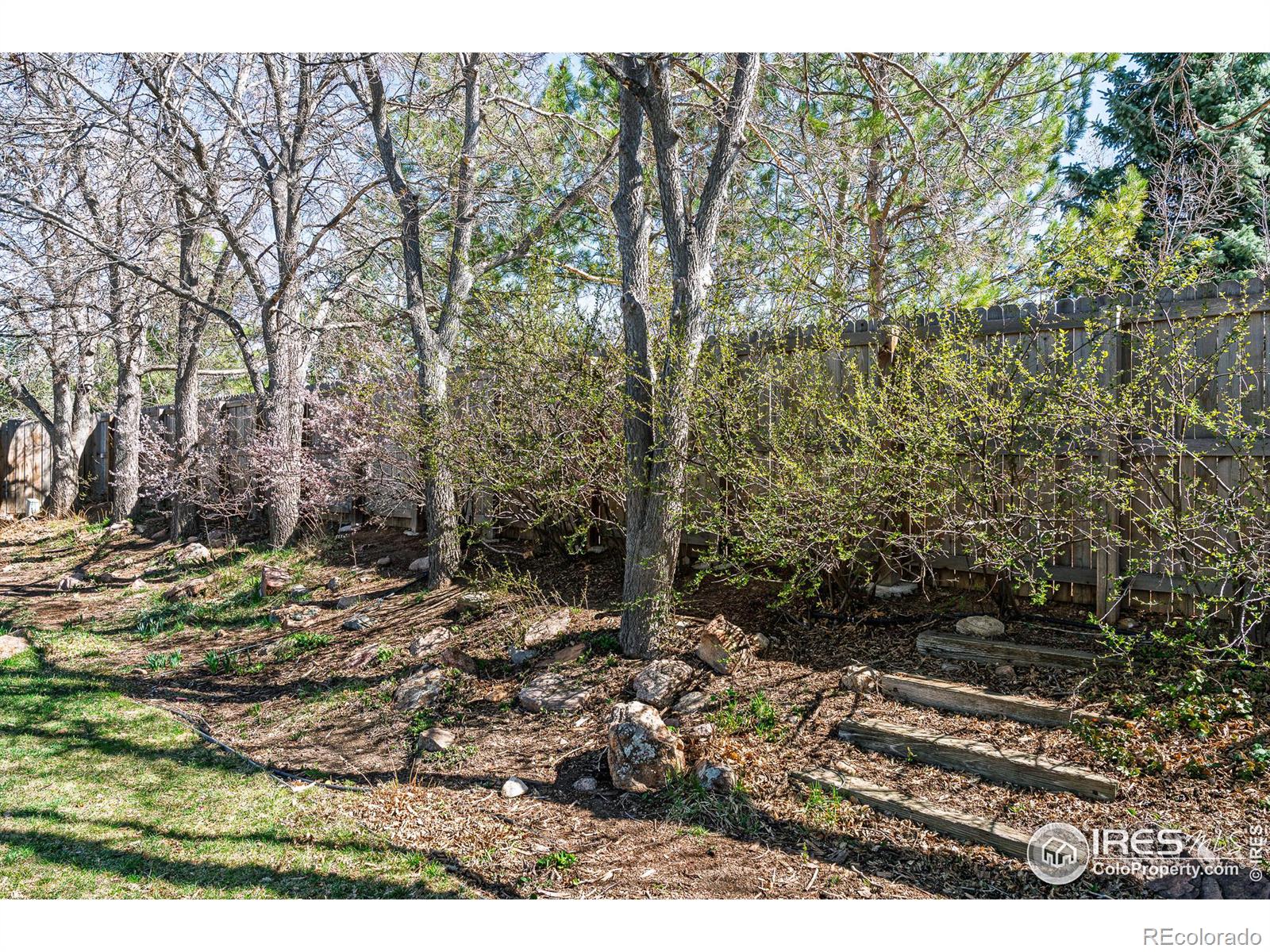 MLS Image #28 for 1420  fillmore place,louisville, Colorado