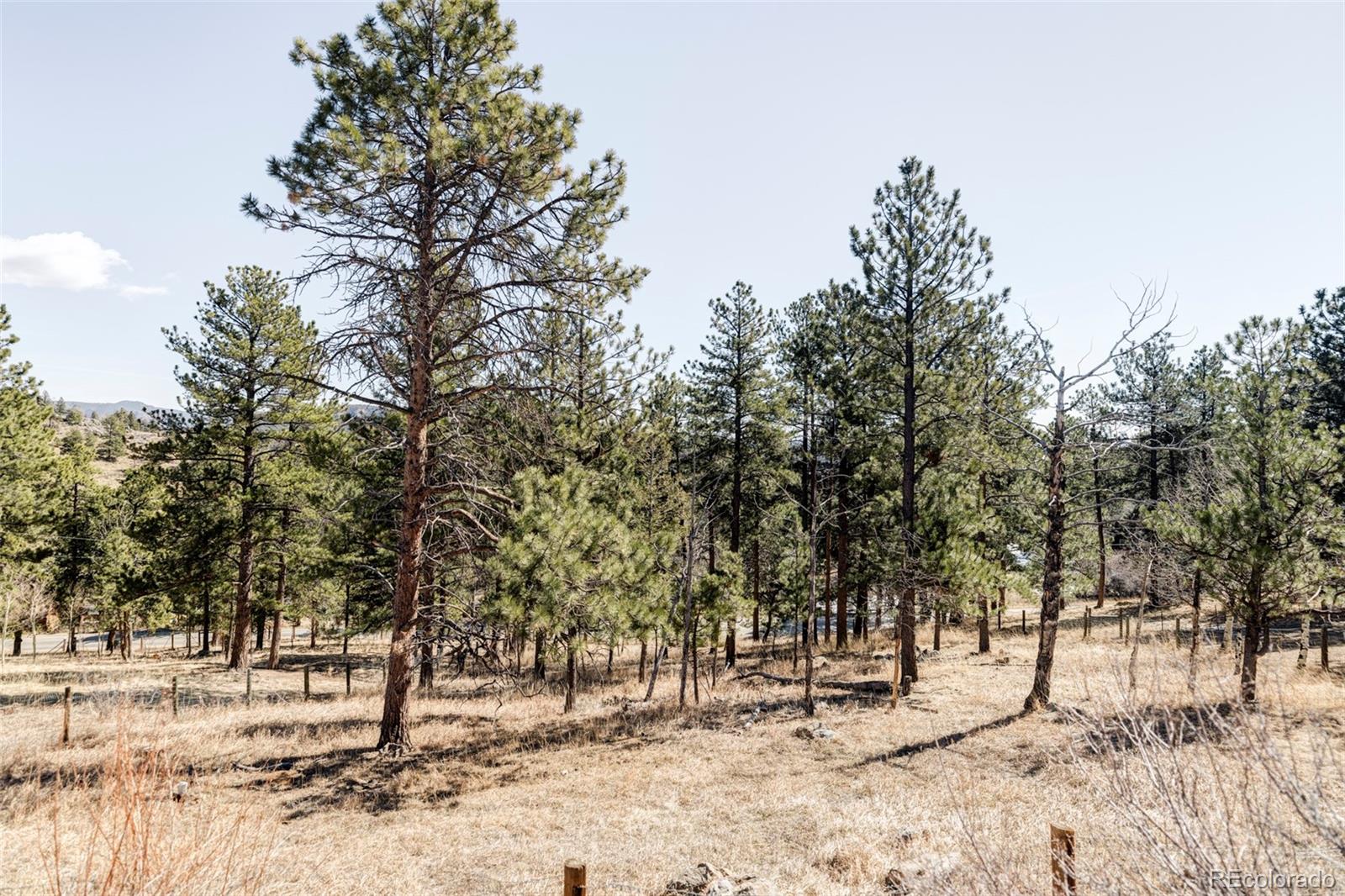 MLS Image #16 for 1154 n pine drive,bailey, Colorado