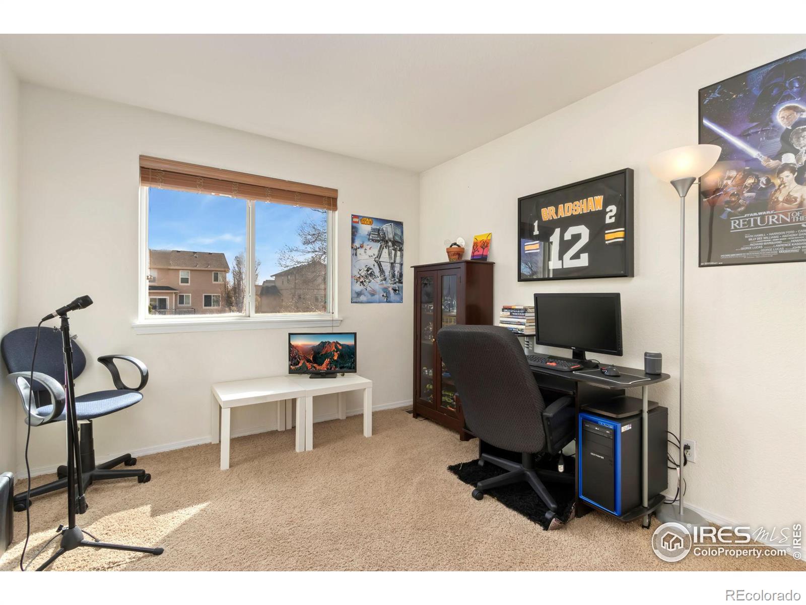 MLS Image #17 for 6280  snowberry avenue,firestone, Colorado