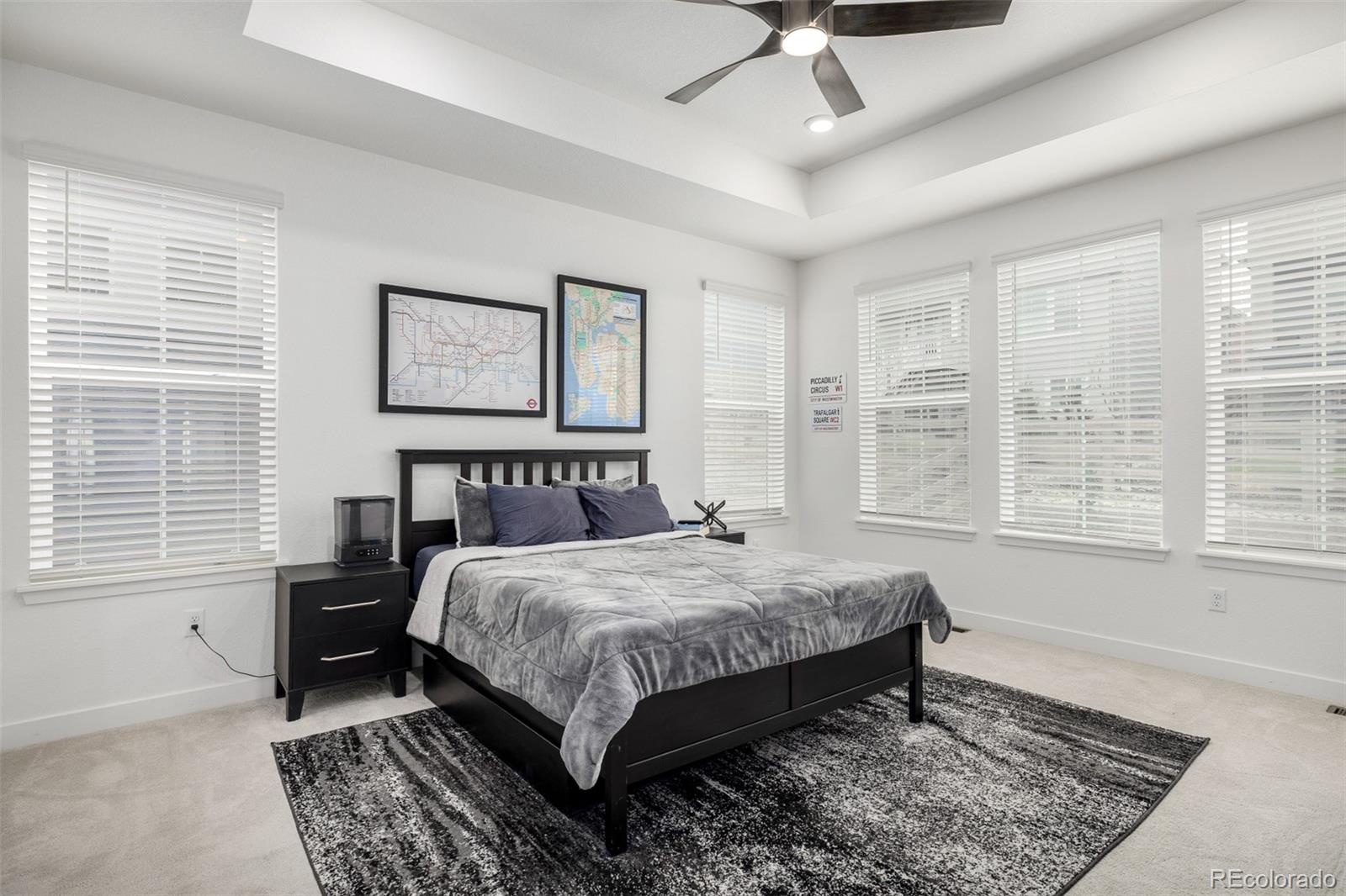 MLS Image #11 for 8175  sewanee peak street,littleton, Colorado