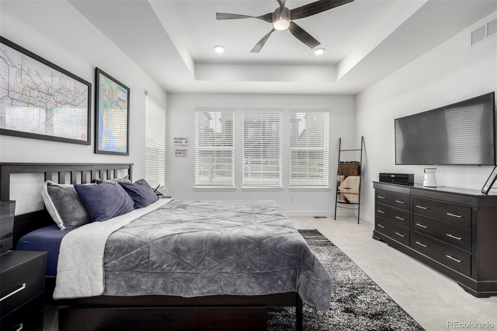 MLS Image #12 for 8175  sewanee peak street,littleton, Colorado