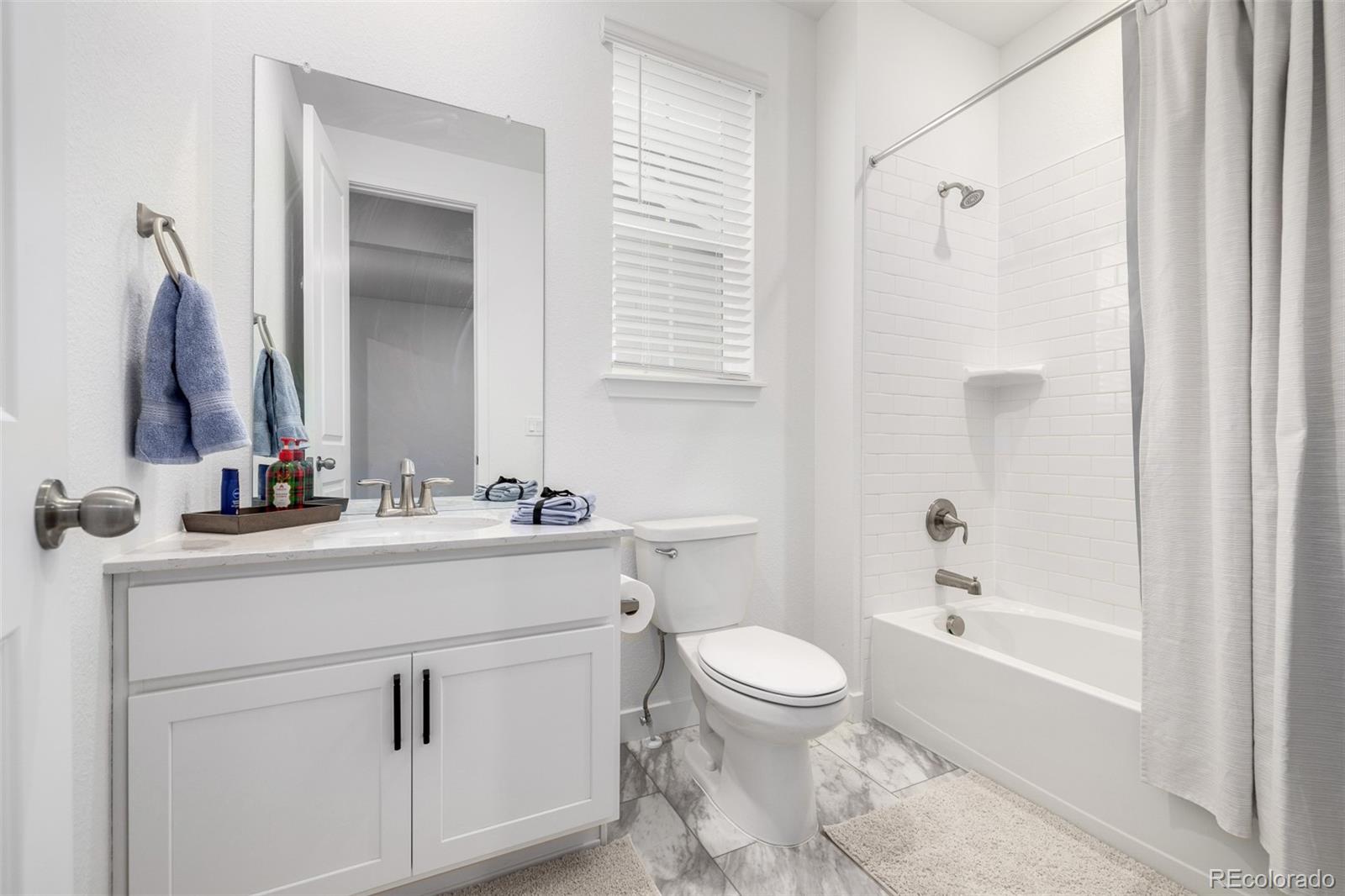 MLS Image #20 for 8175  sewanee peak street,littleton, Colorado