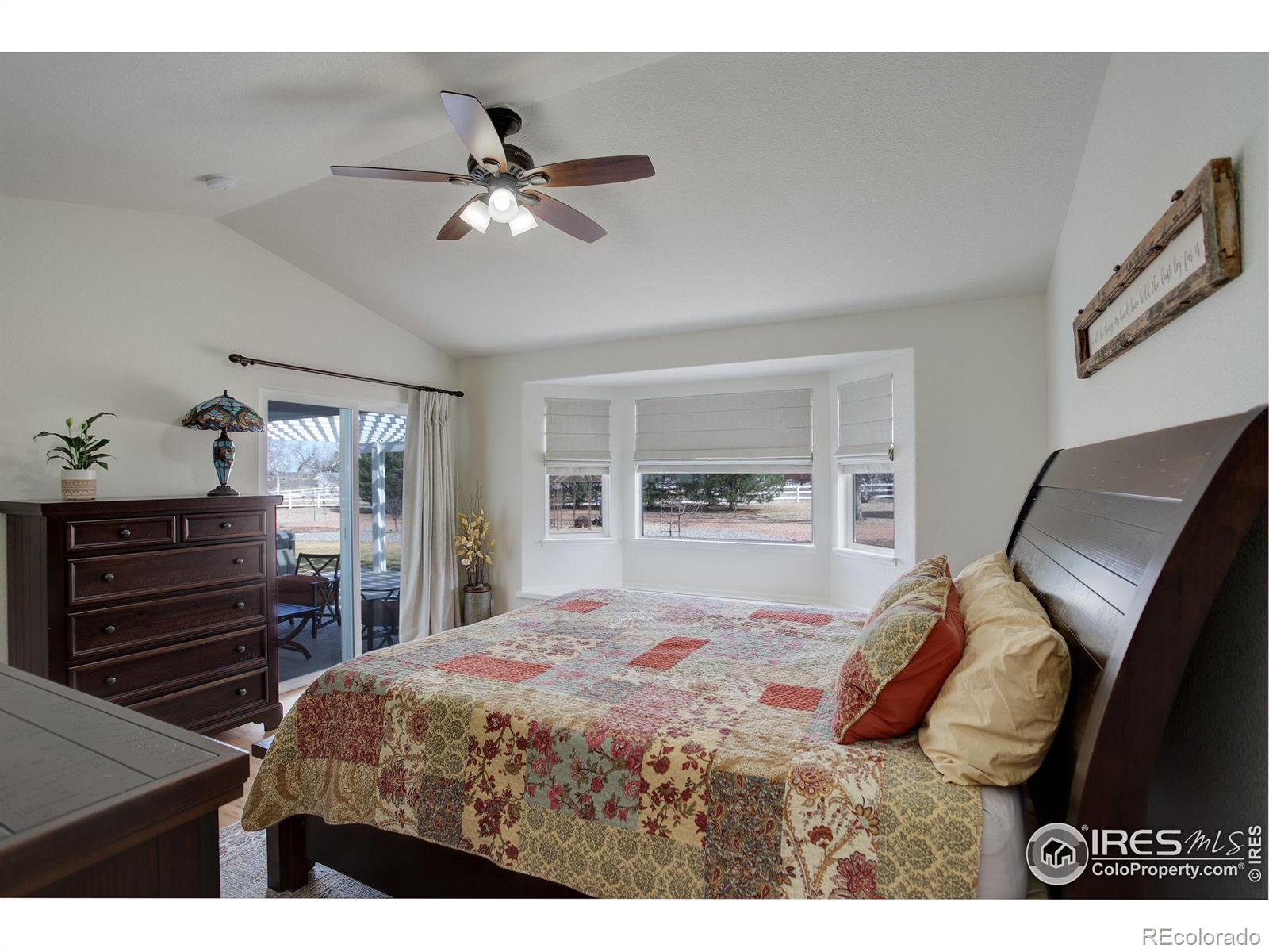 MLS Image #12 for 1105  san miguel drive,severance, Colorado