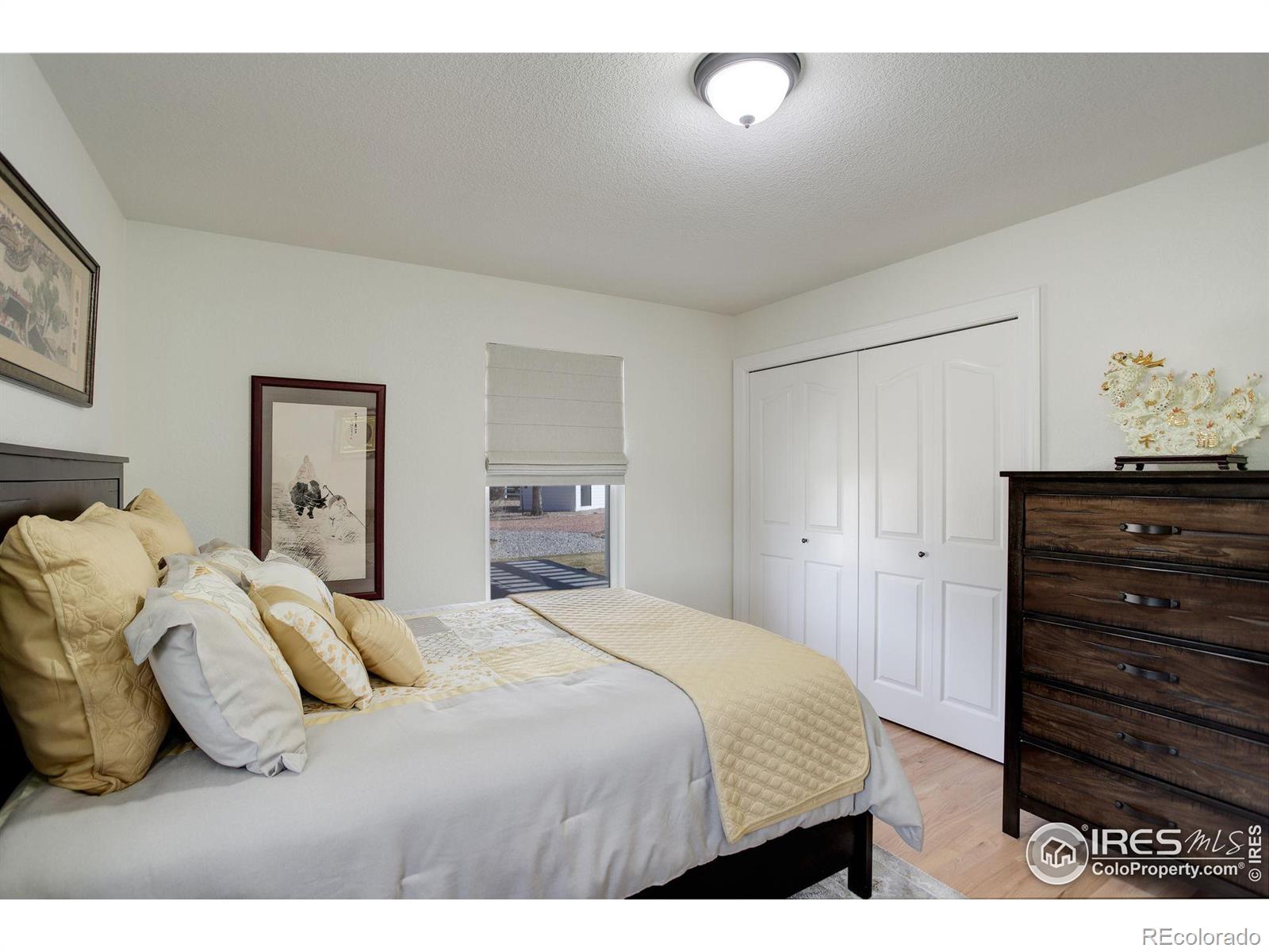 MLS Image #17 for 1105  san miguel drive,severance, Colorado