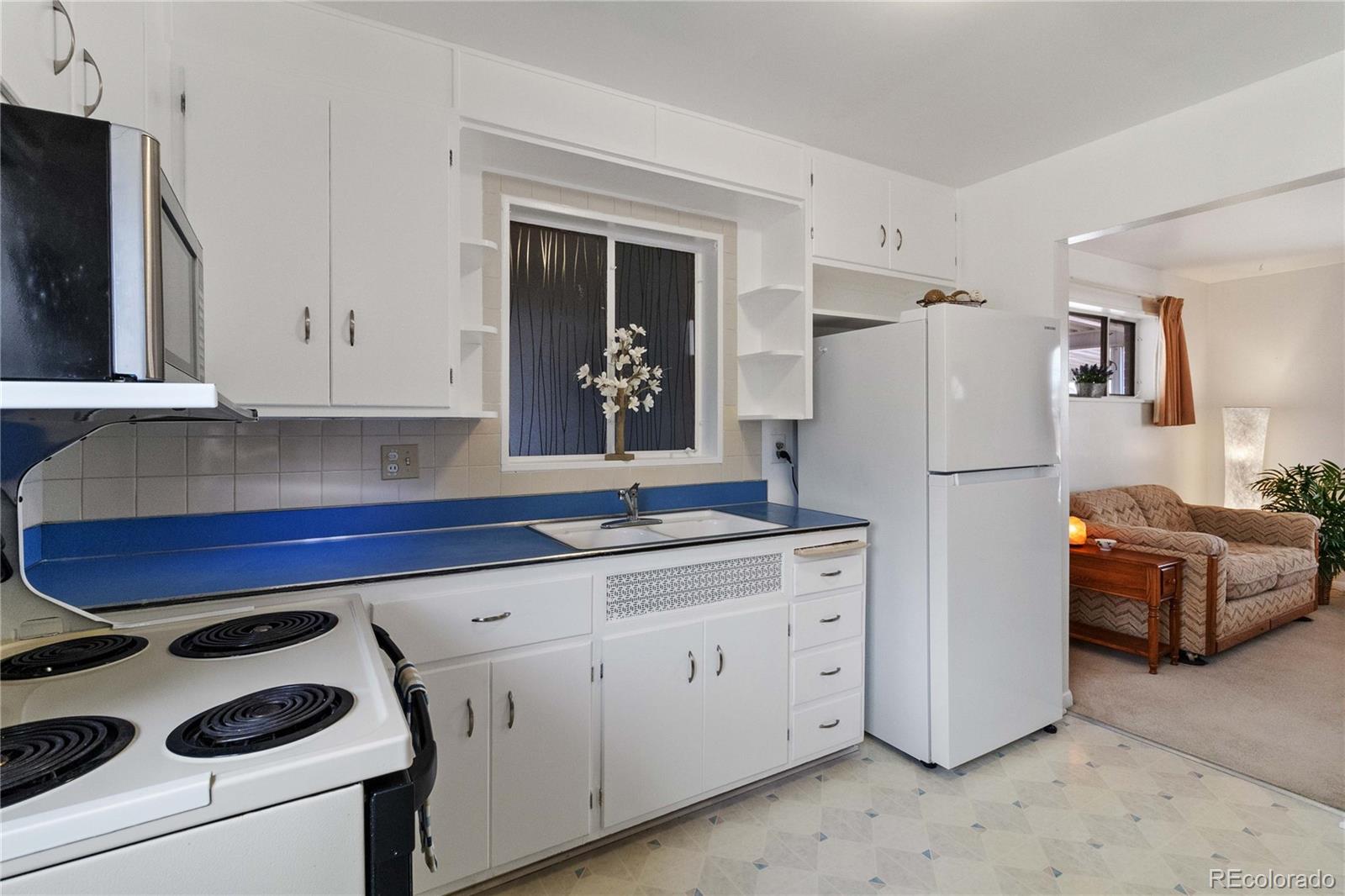 MLS Image #10 for 6900  avrum drive,denver, Colorado