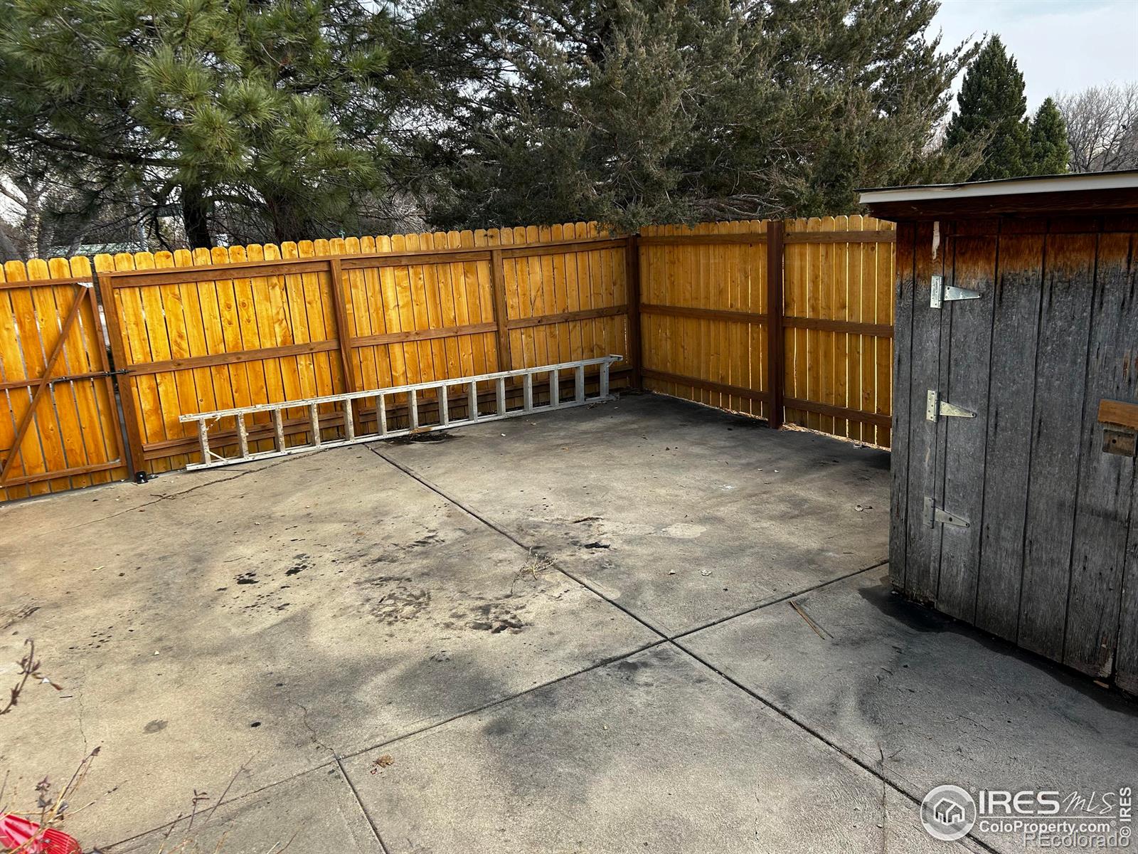 MLS Image #26 for 2525  montmorency street,fort collins, Colorado