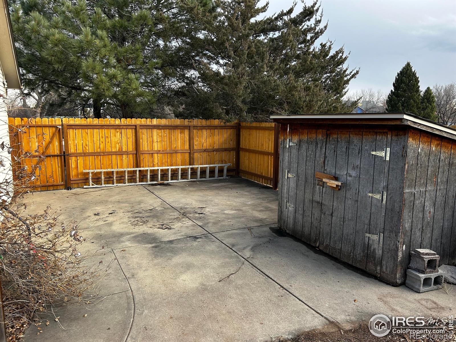 MLS Image #27 for 2525  montmorency street,fort collins, Colorado