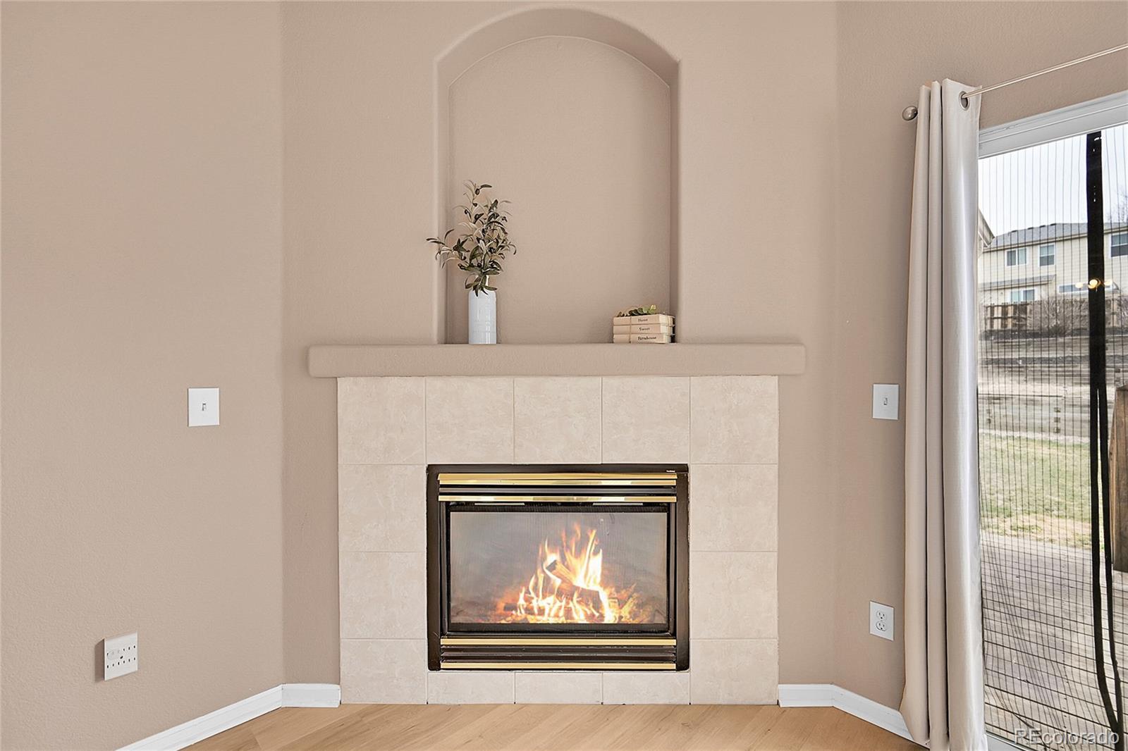 MLS Image #21 for 5162  hubert street,parker, Colorado