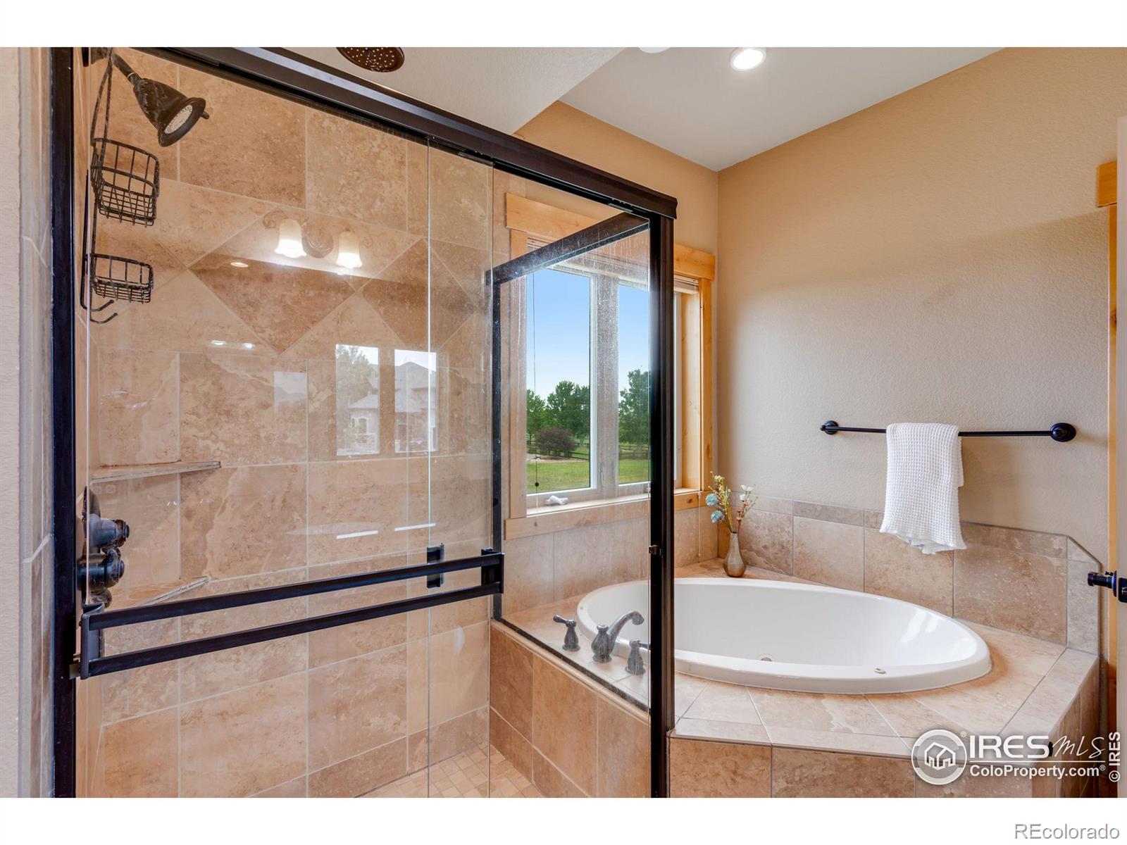 MLS Image #16 for 37158  soaring eagle circle,severance, Colorado