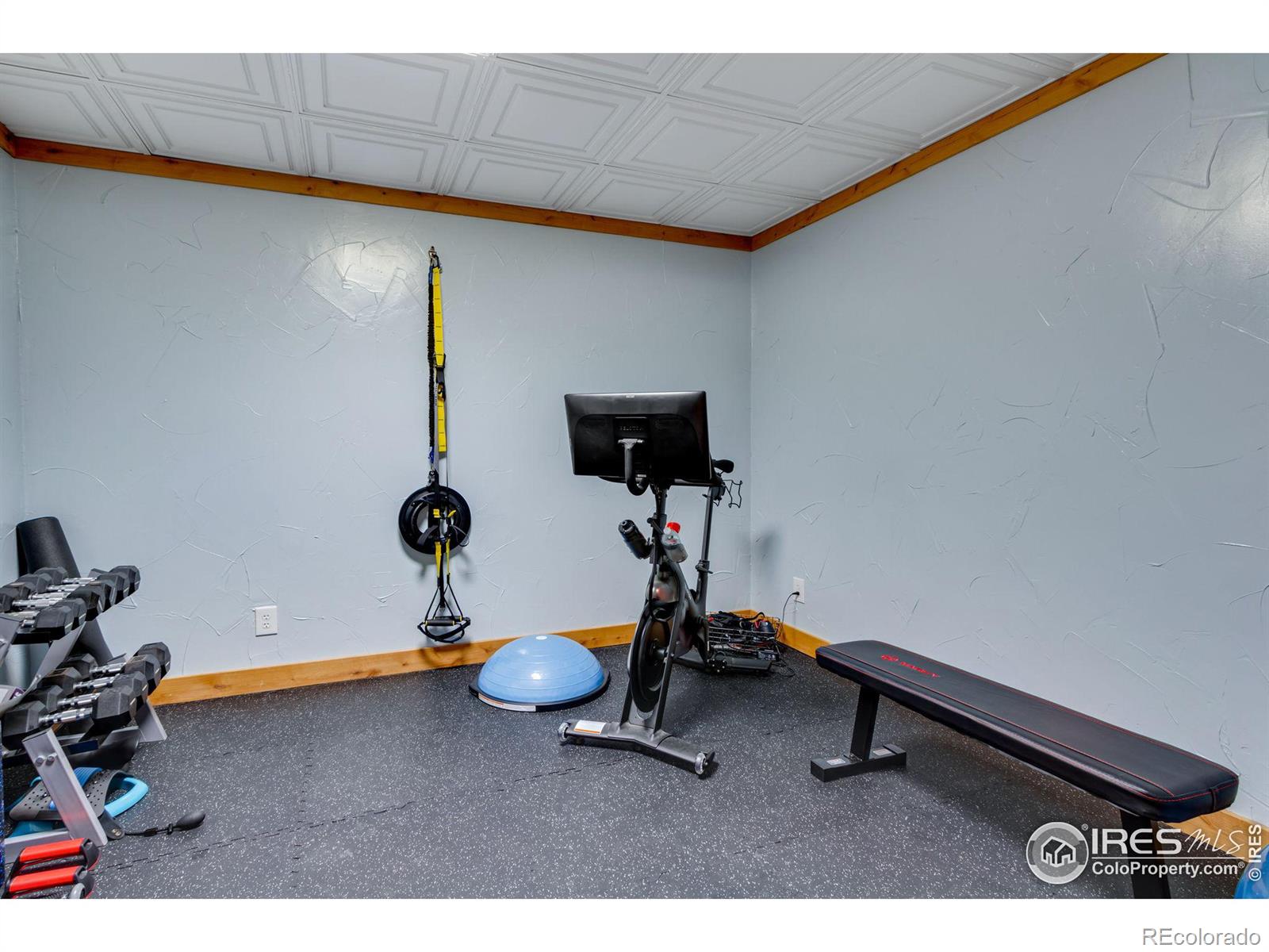 MLS Image #23 for 37158  soaring eagle circle,severance, Colorado