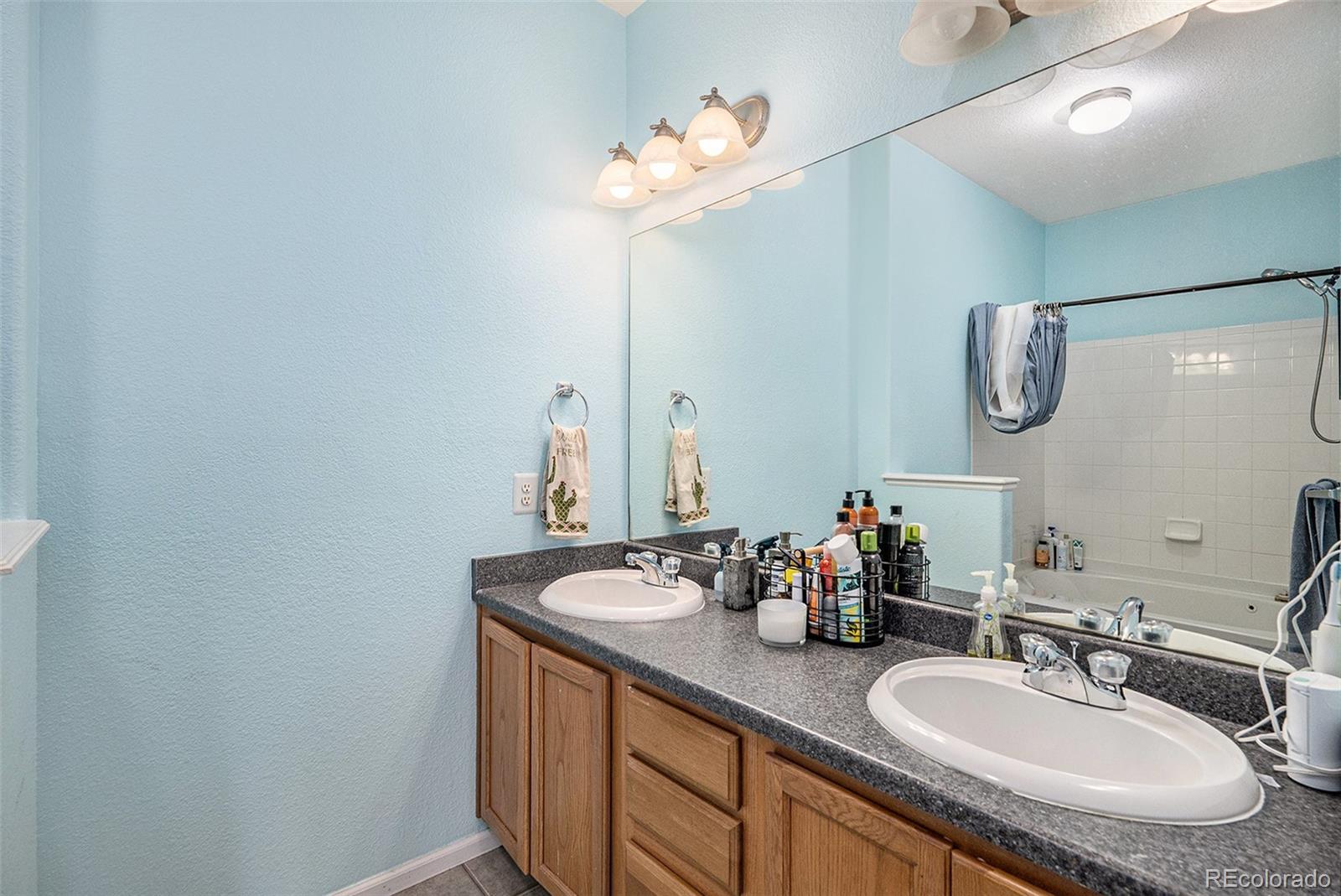 MLS Image #10 for 4451 s ammons street,littleton, Colorado