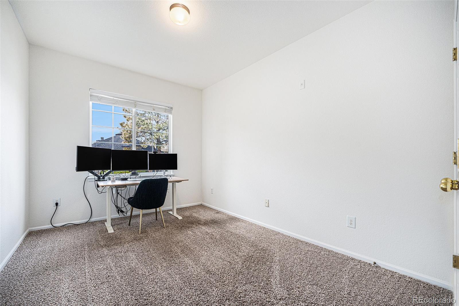 MLS Image #7 for 4451 s ammons street,littleton, Colorado