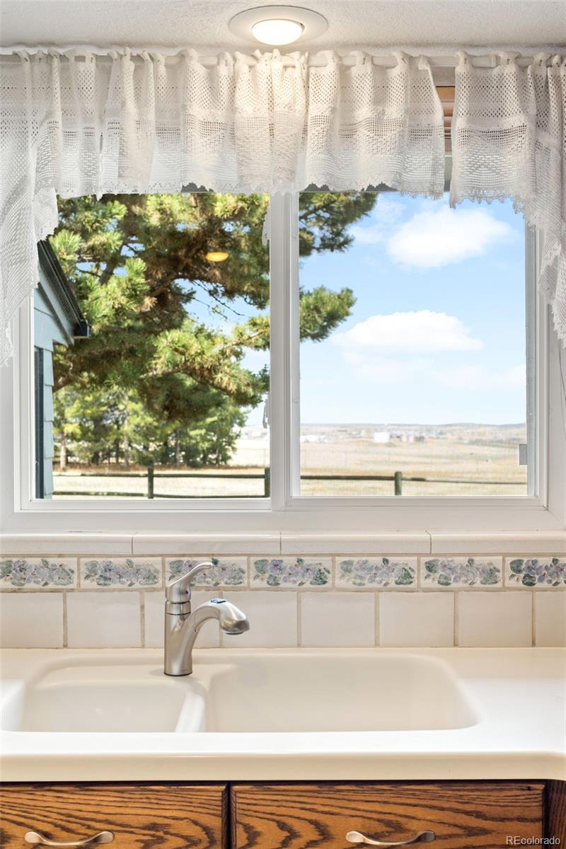 MLS Image #13 for 12579  appaloosa place,broomfield, Colorado