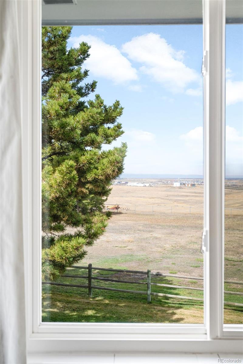 MLS Image #23 for 12579  appaloosa place,broomfield, Colorado