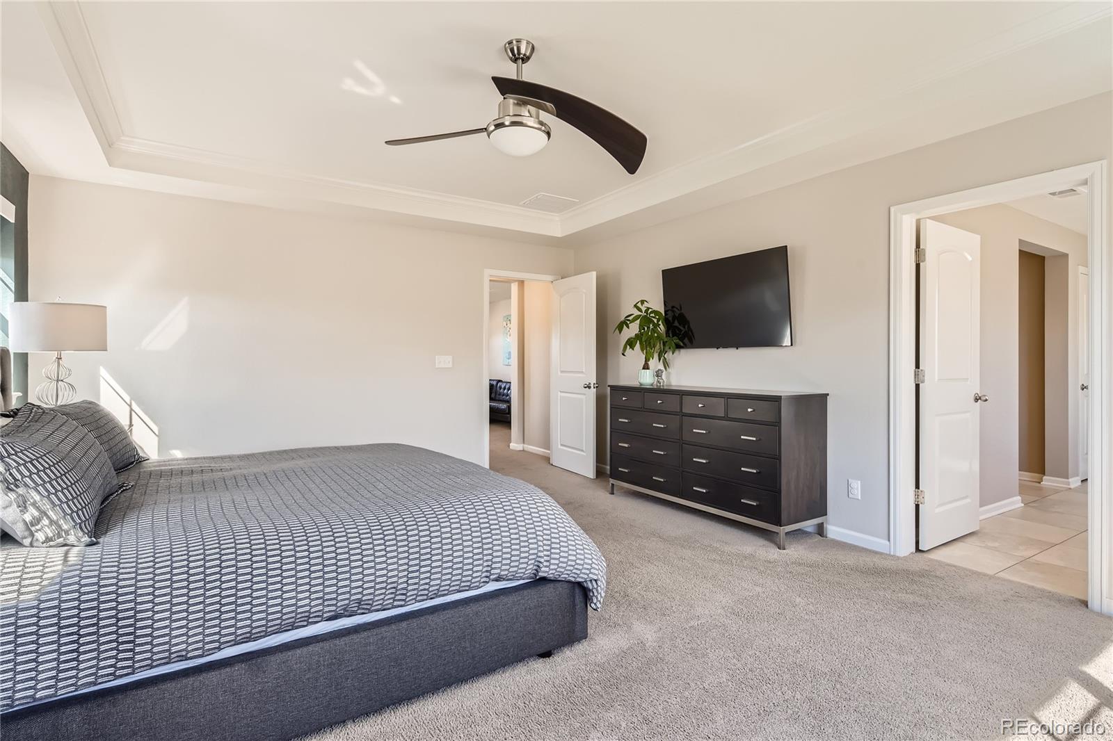 MLS Image #17 for 2702  rising moon way,castle rock, Colorado