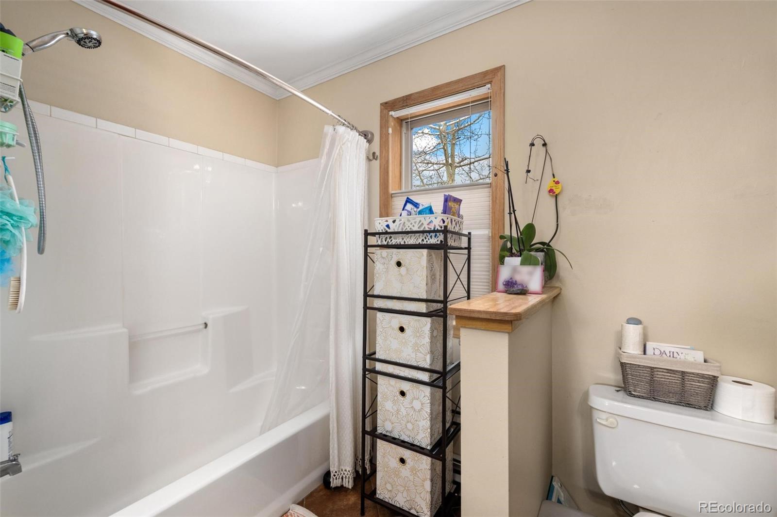 MLS Image #16 for 239  huron road,breckenridge, Colorado