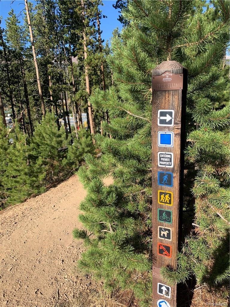 MLS Image #21 for 239  huron road,breckenridge, Colorado