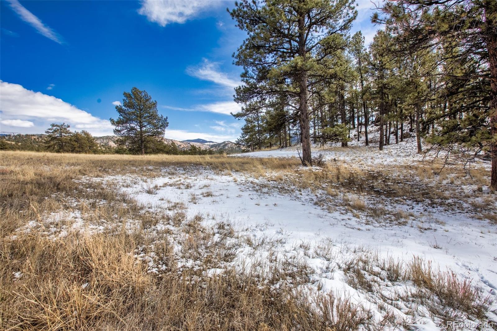 MLS Image #4 for 188  hackamore drive,florissant, Colorado