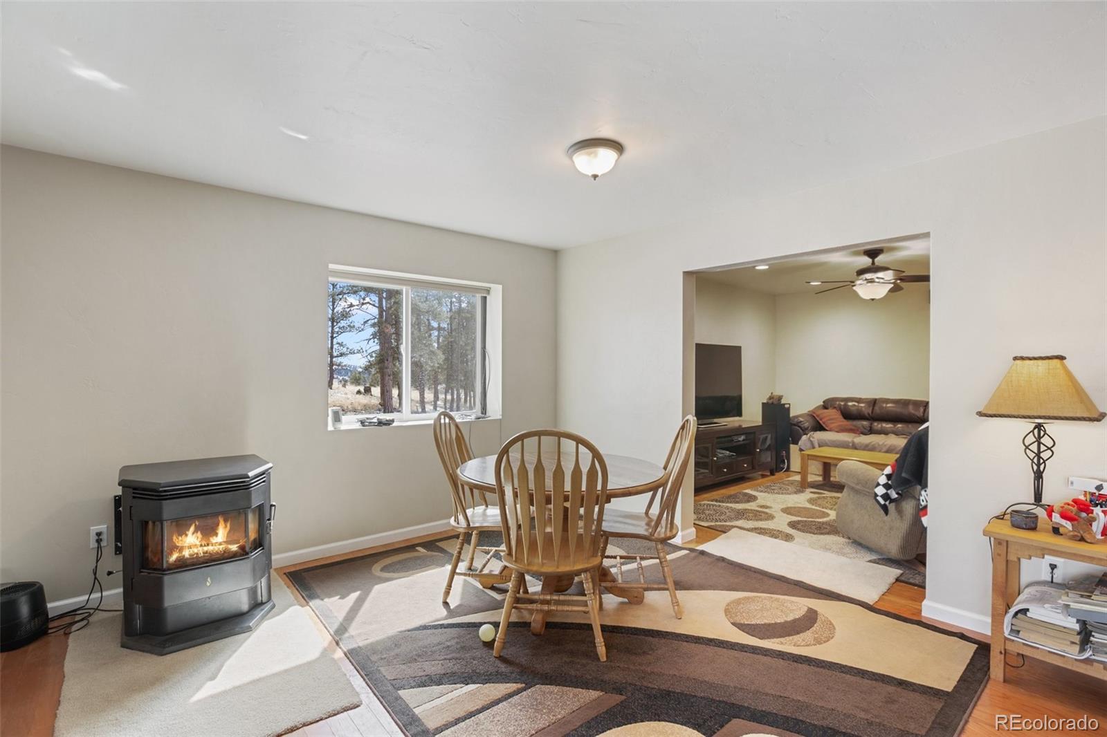 MLS Image #9 for 188  hackamore drive,florissant, Colorado