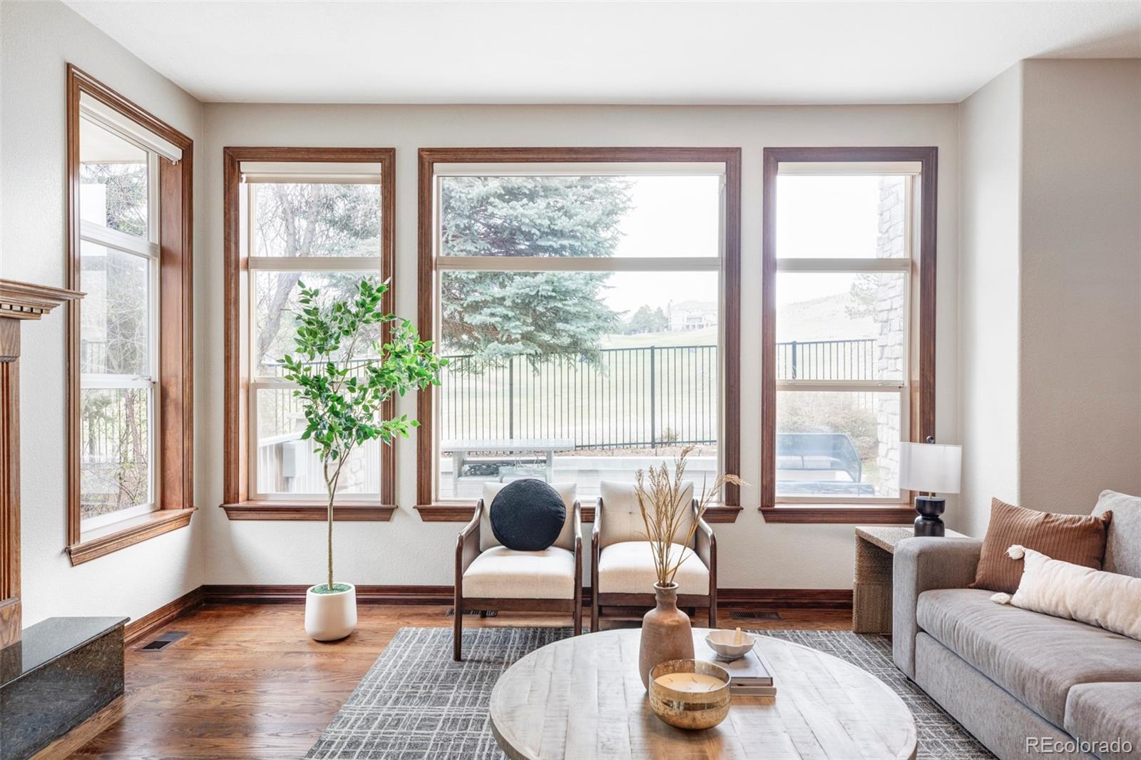 MLS Image #15 for 10260  longview drive,lone tree, Colorado