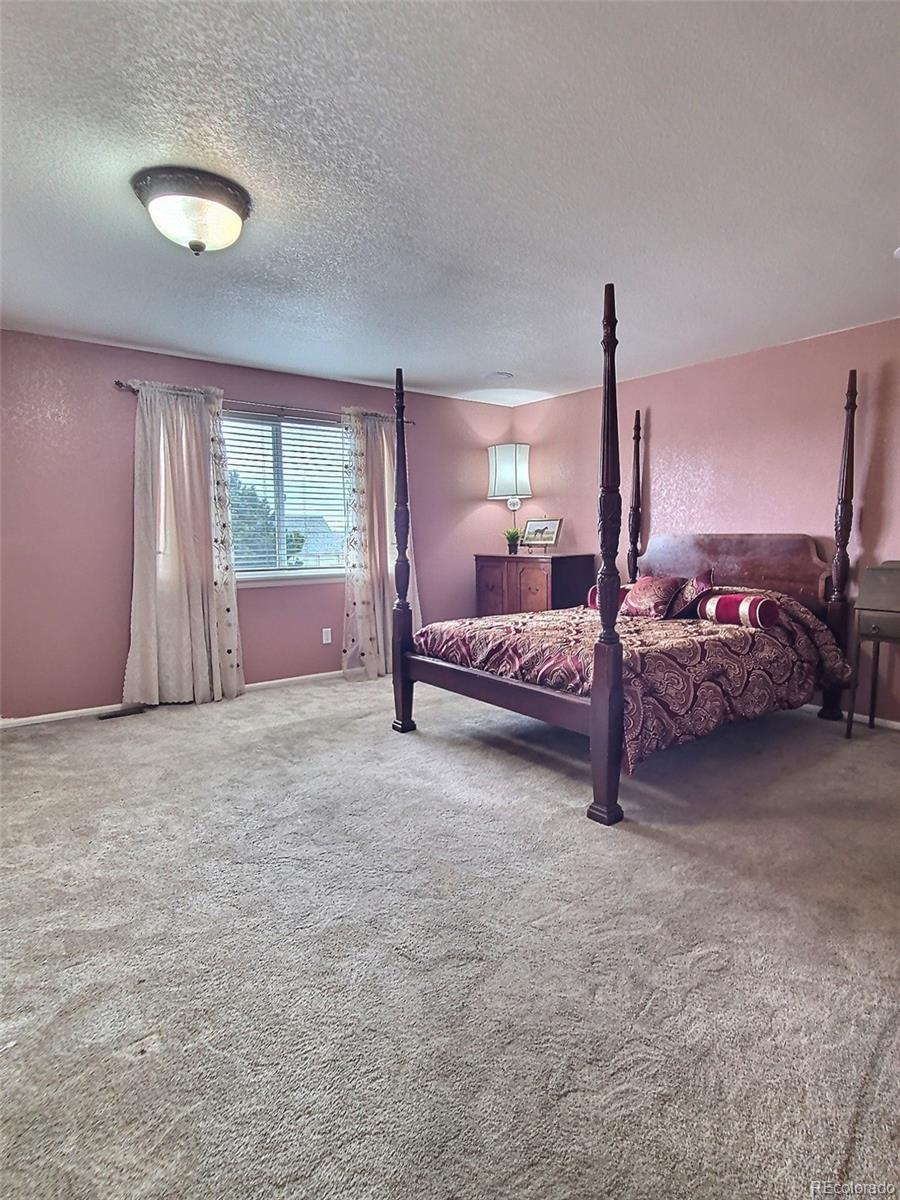 MLS Image #10 for 1337  kingsfield street,castle rock, Colorado
