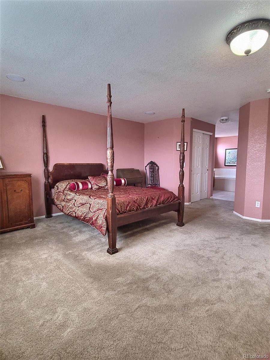 MLS Image #11 for 1337  kingsfield street,castle rock, Colorado