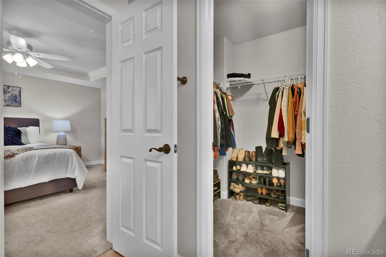 MLS Image #20 for 3129  open sky way,castle rock, Colorado