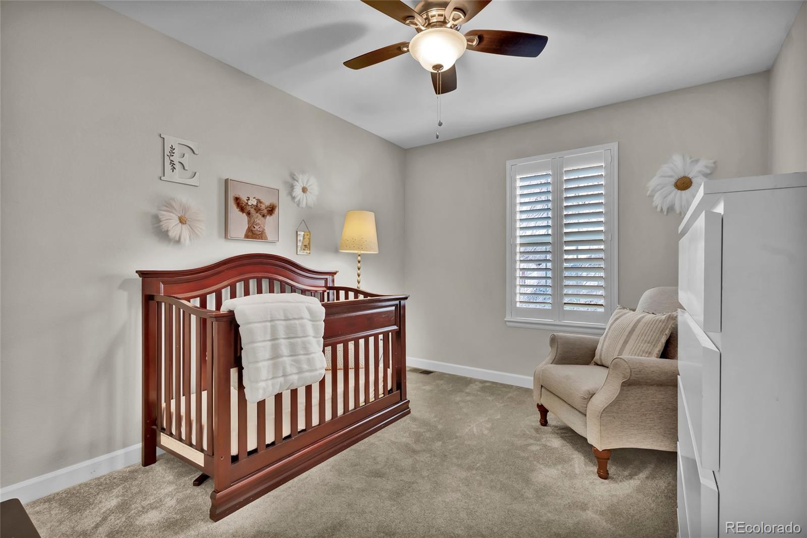 MLS Image #21 for 3129  open sky way,castle rock, Colorado