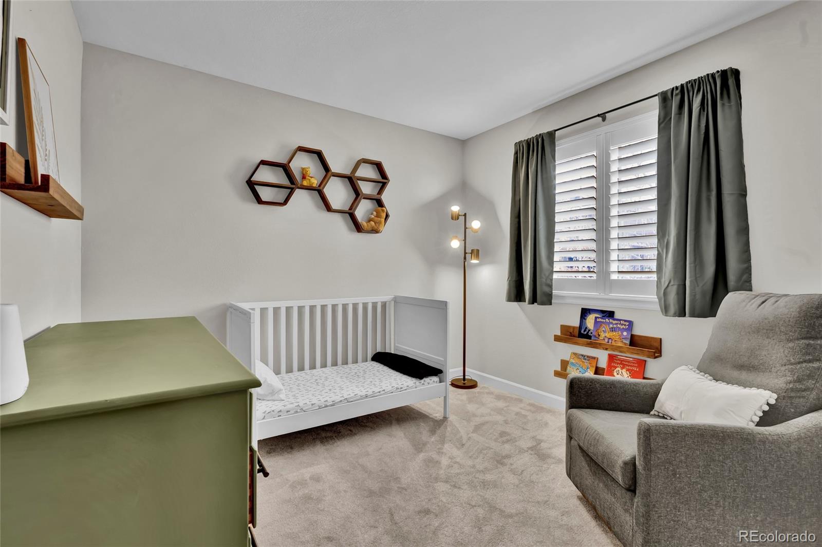 MLS Image #22 for 3129  open sky way,castle rock, Colorado