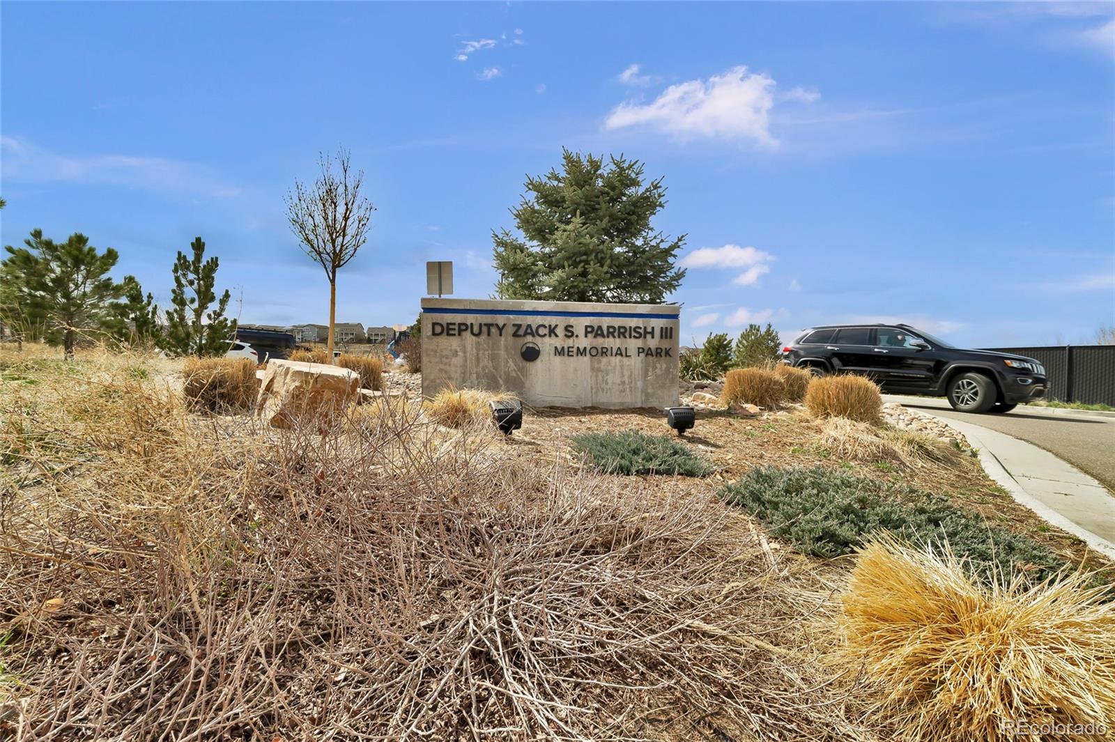 MLS Image #38 for 3129  open sky way,castle rock, Colorado