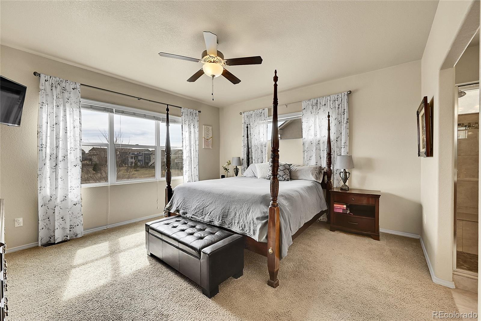 MLS Image #13 for 8415  crooked branch lane,colorado springs, Colorado
