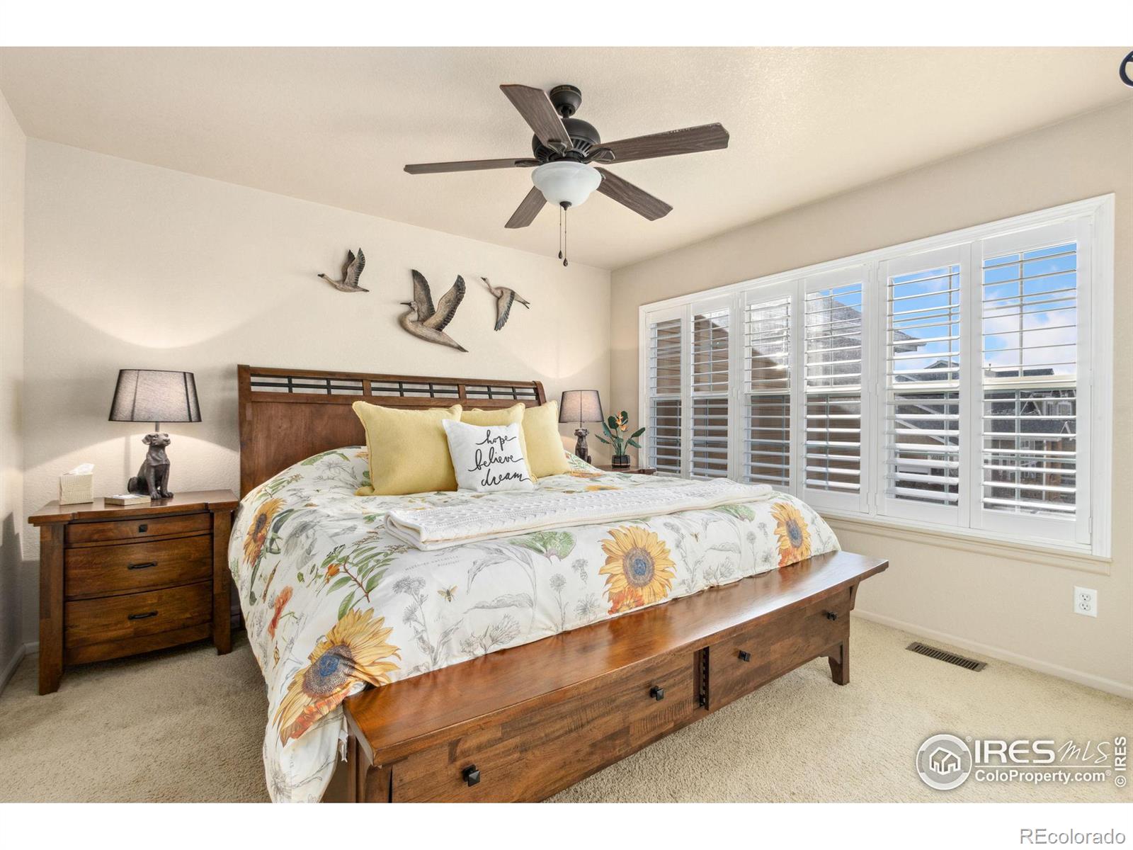 MLS Image #14 for 155  bayside circle,windsor, Colorado