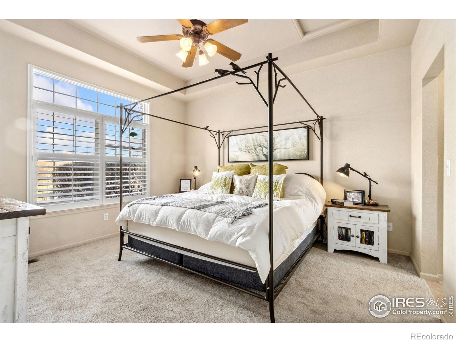 MLS Image #8 for 155  bayside circle,windsor, Colorado